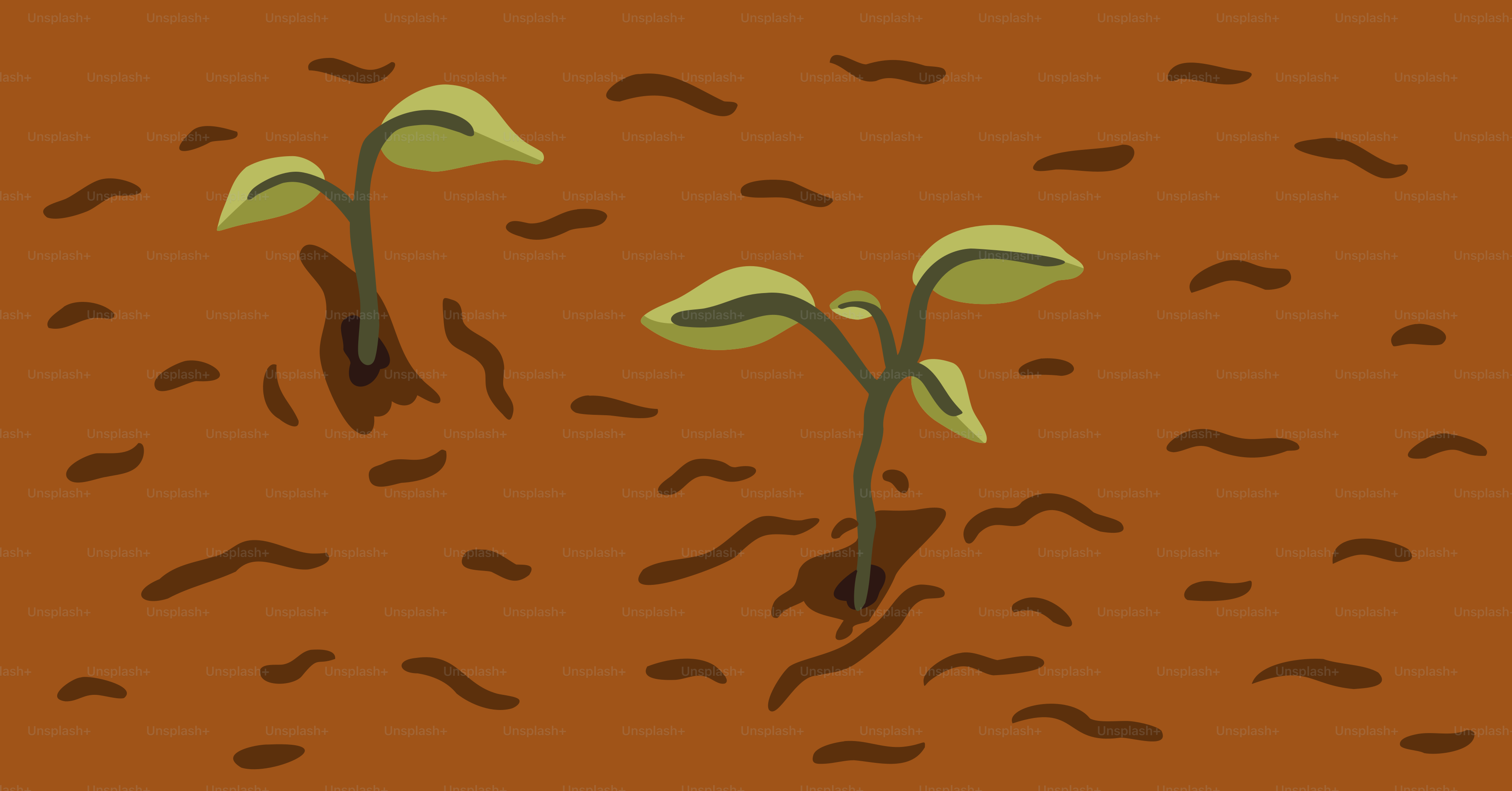 Two small plants growing from brown soil