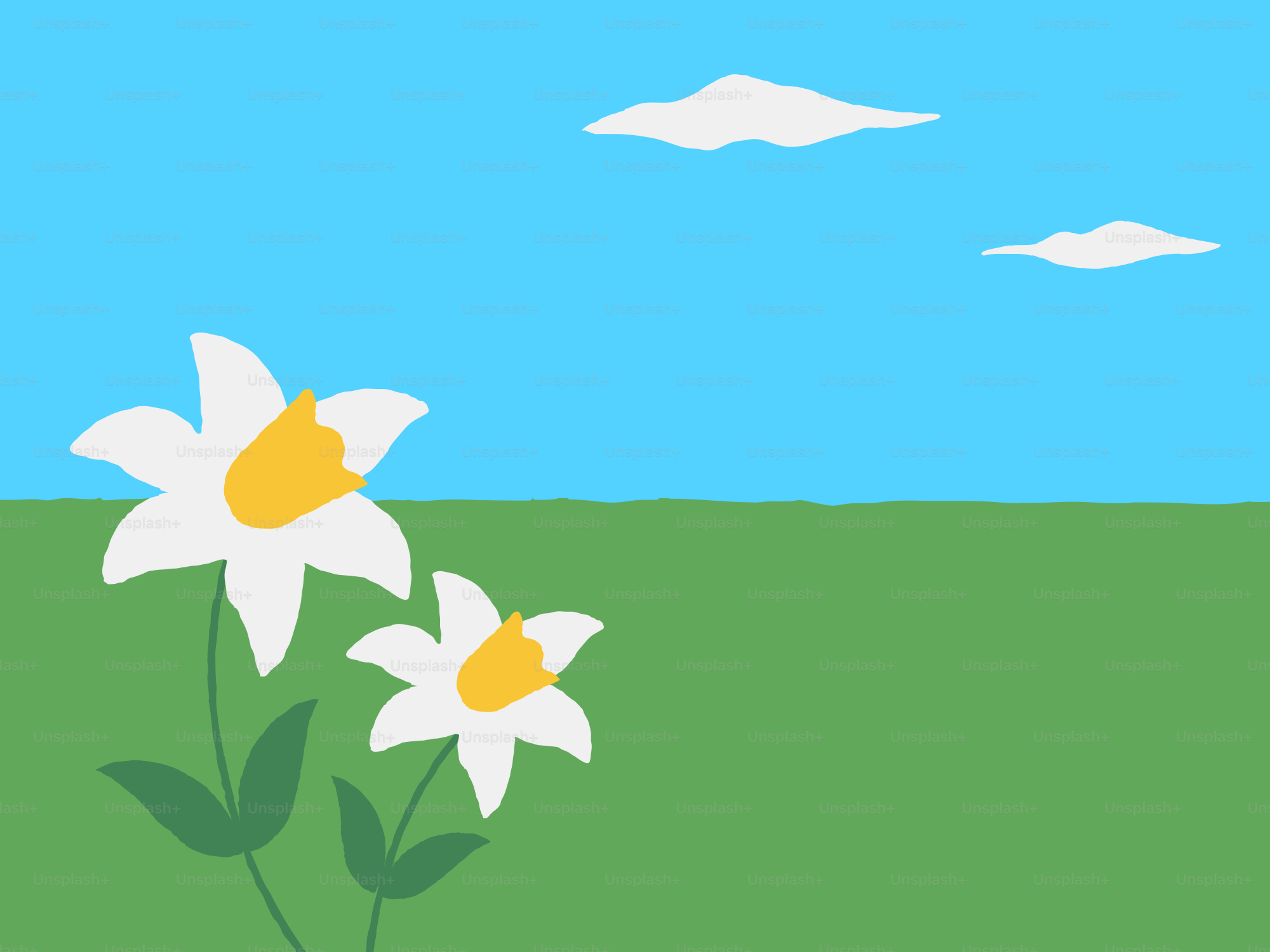 Zwei weiße Blumen auf einem grünen Feld unter blauem Himmel