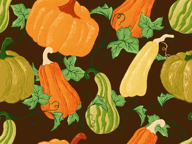 Illustration from Unsplash