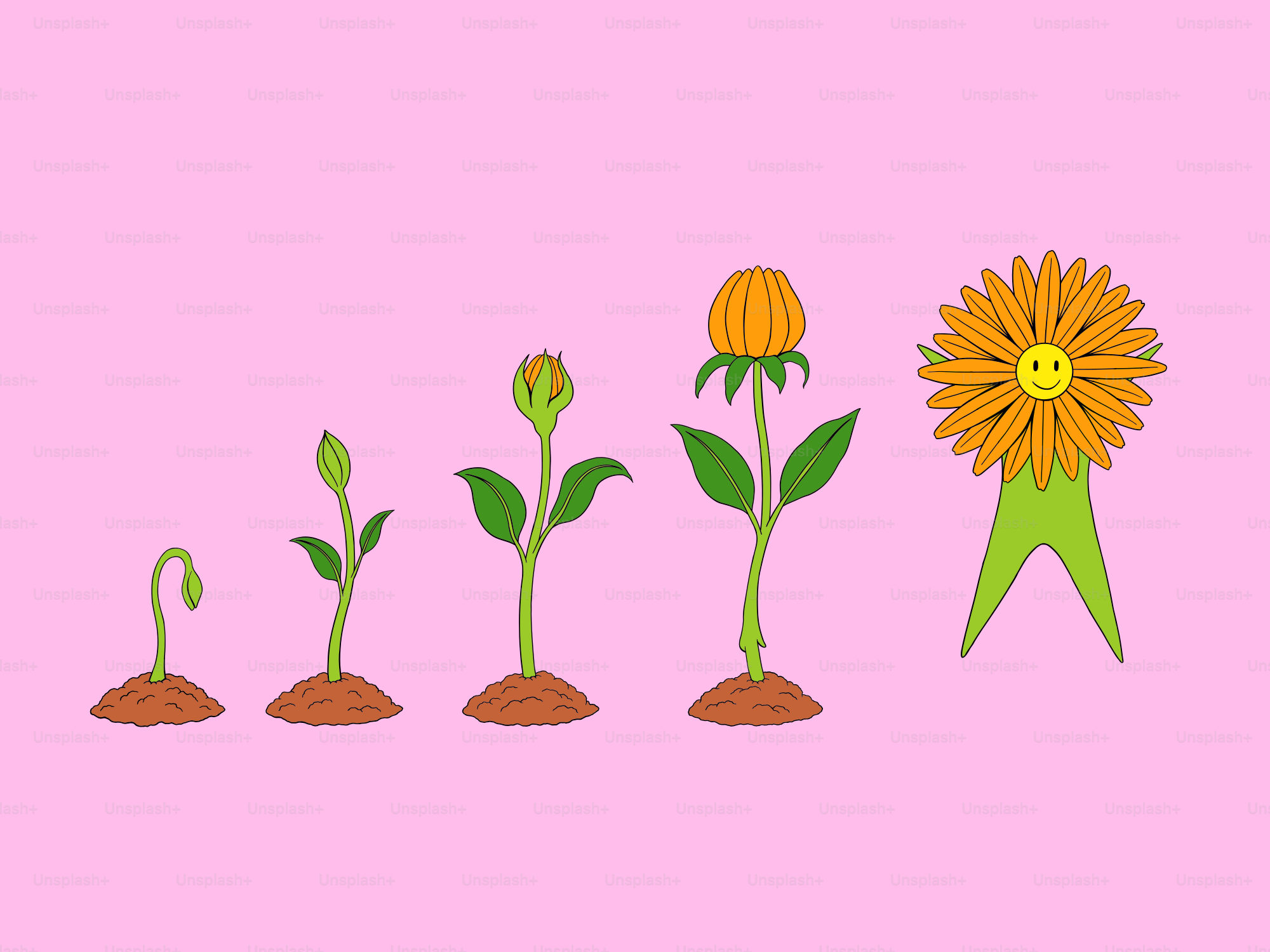 Flower growth stages from sprout to blooming award