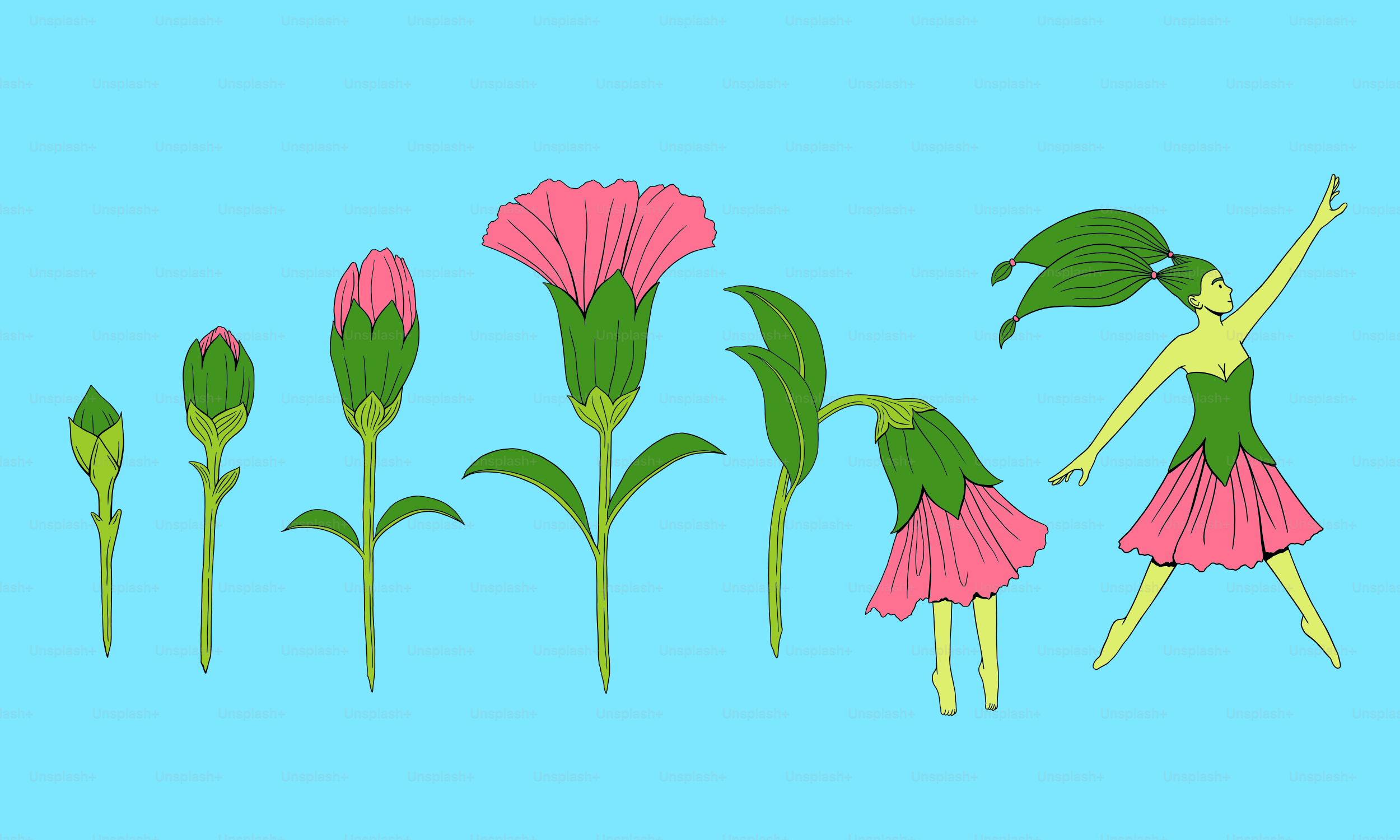 Estágios de crescimento das flores que levam a uma fada dançarina