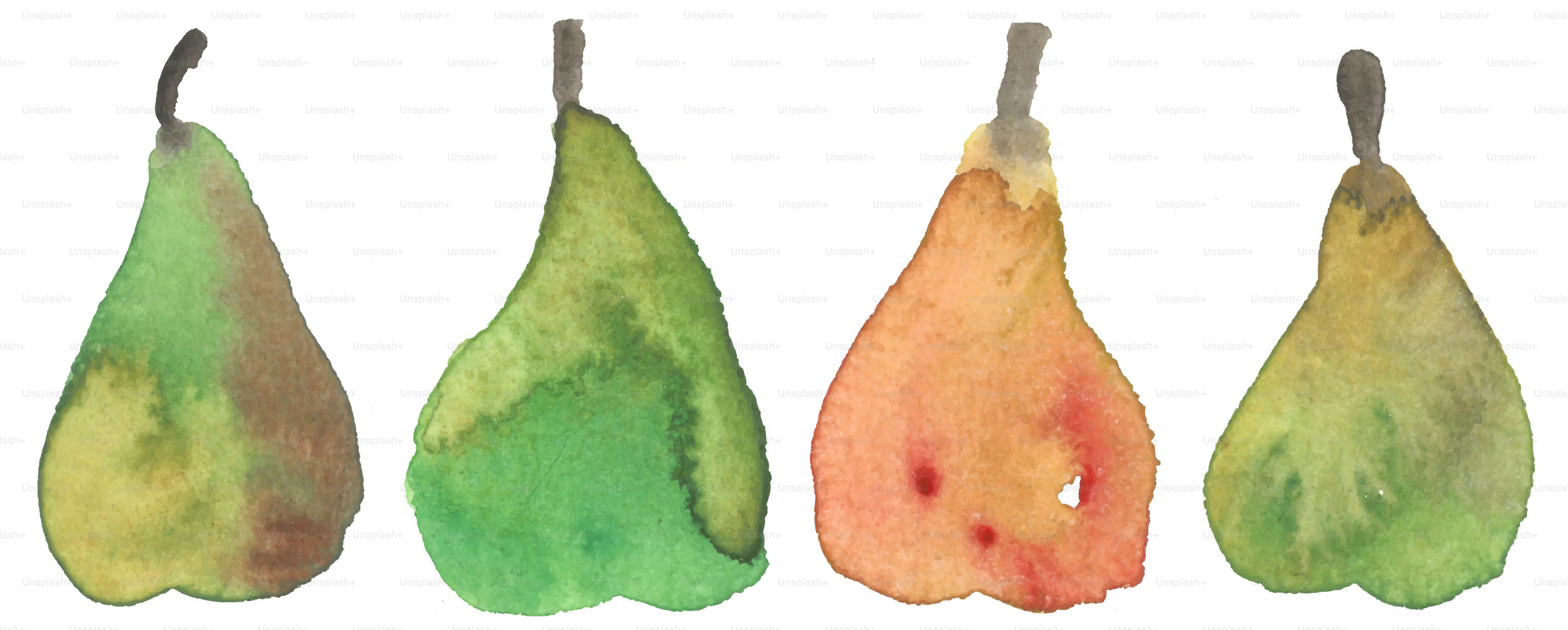 Four watercolor pears in various colors on white.