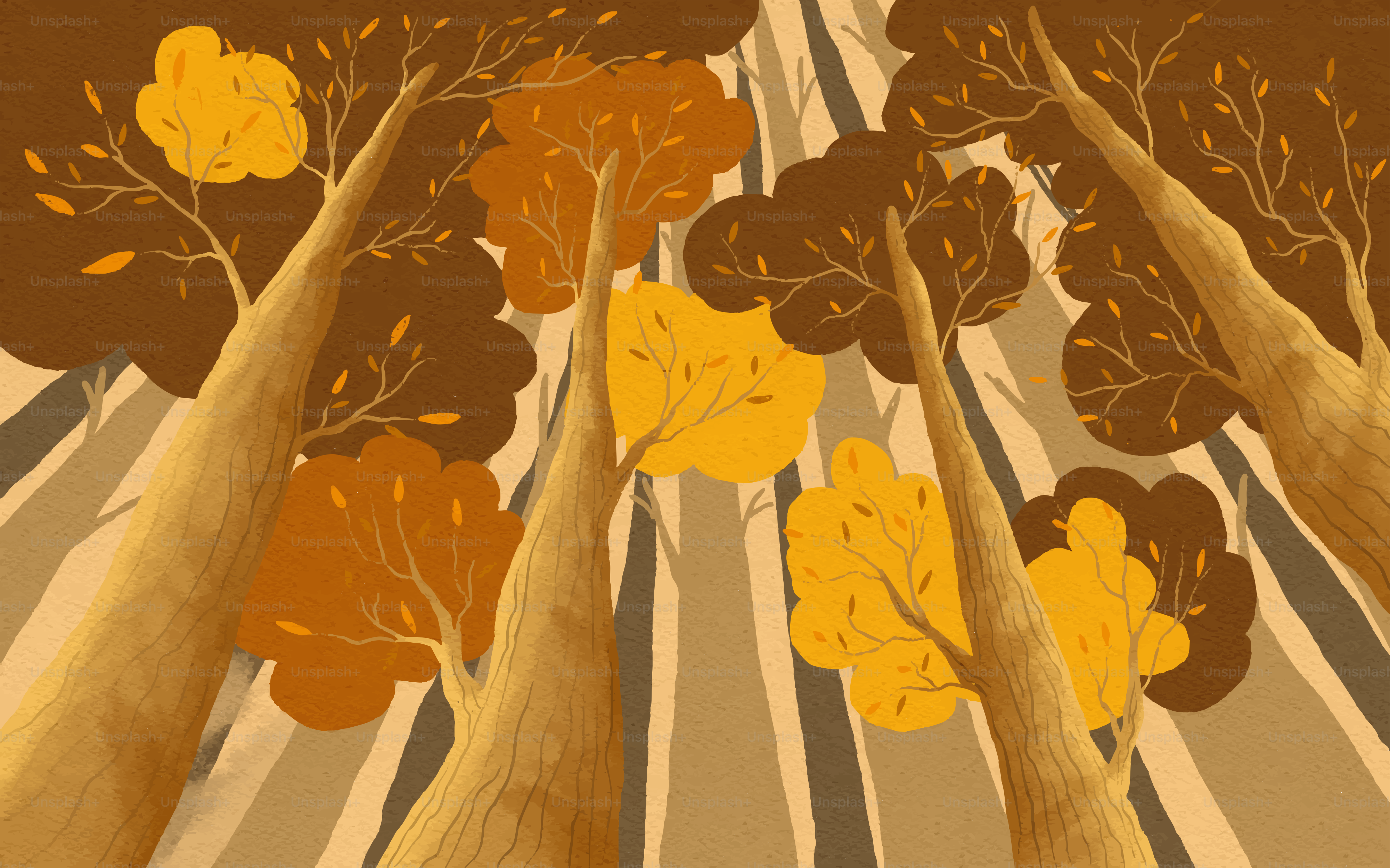 Looking up at tall trees with autumn leaves