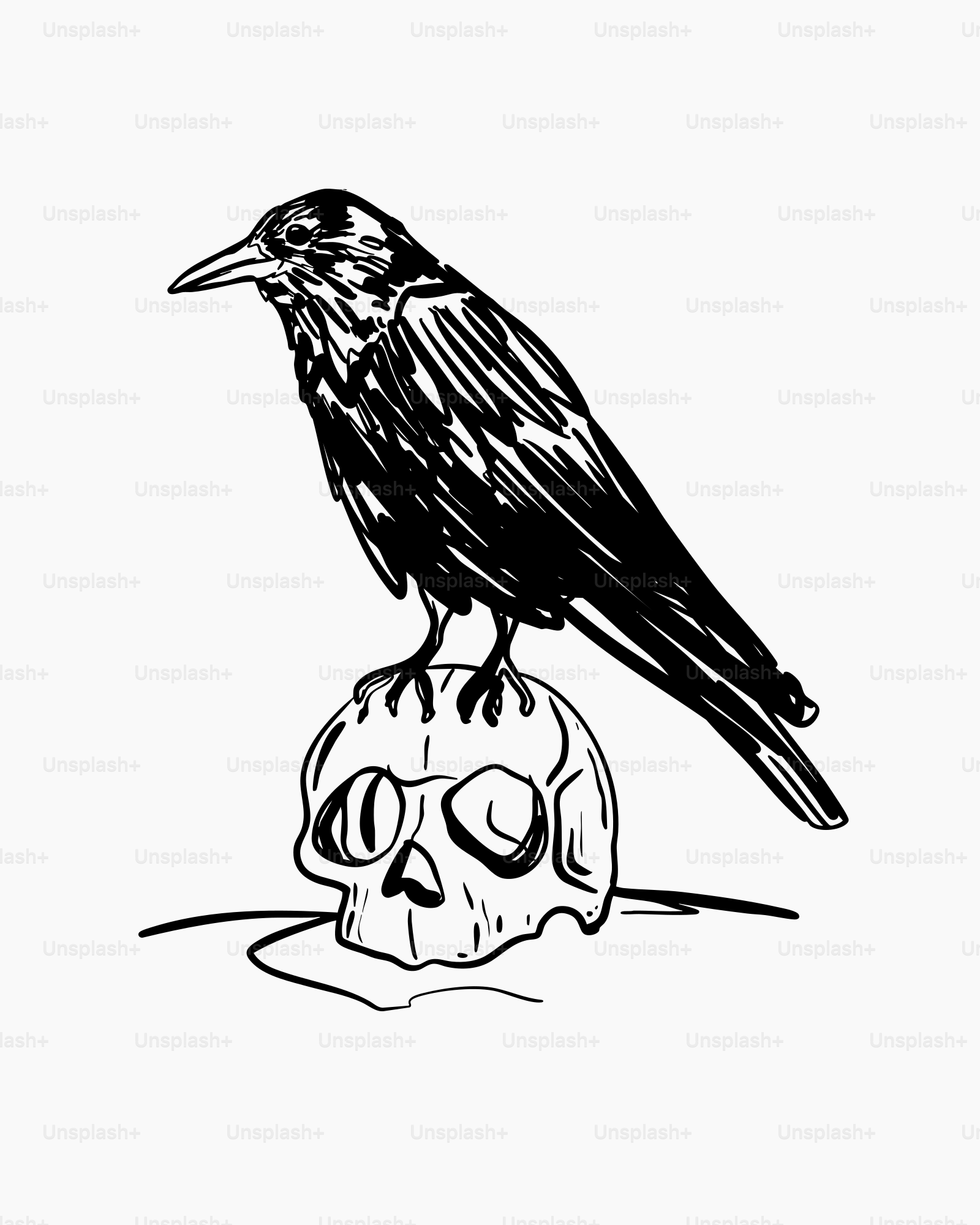 A crow perched on a human skull.