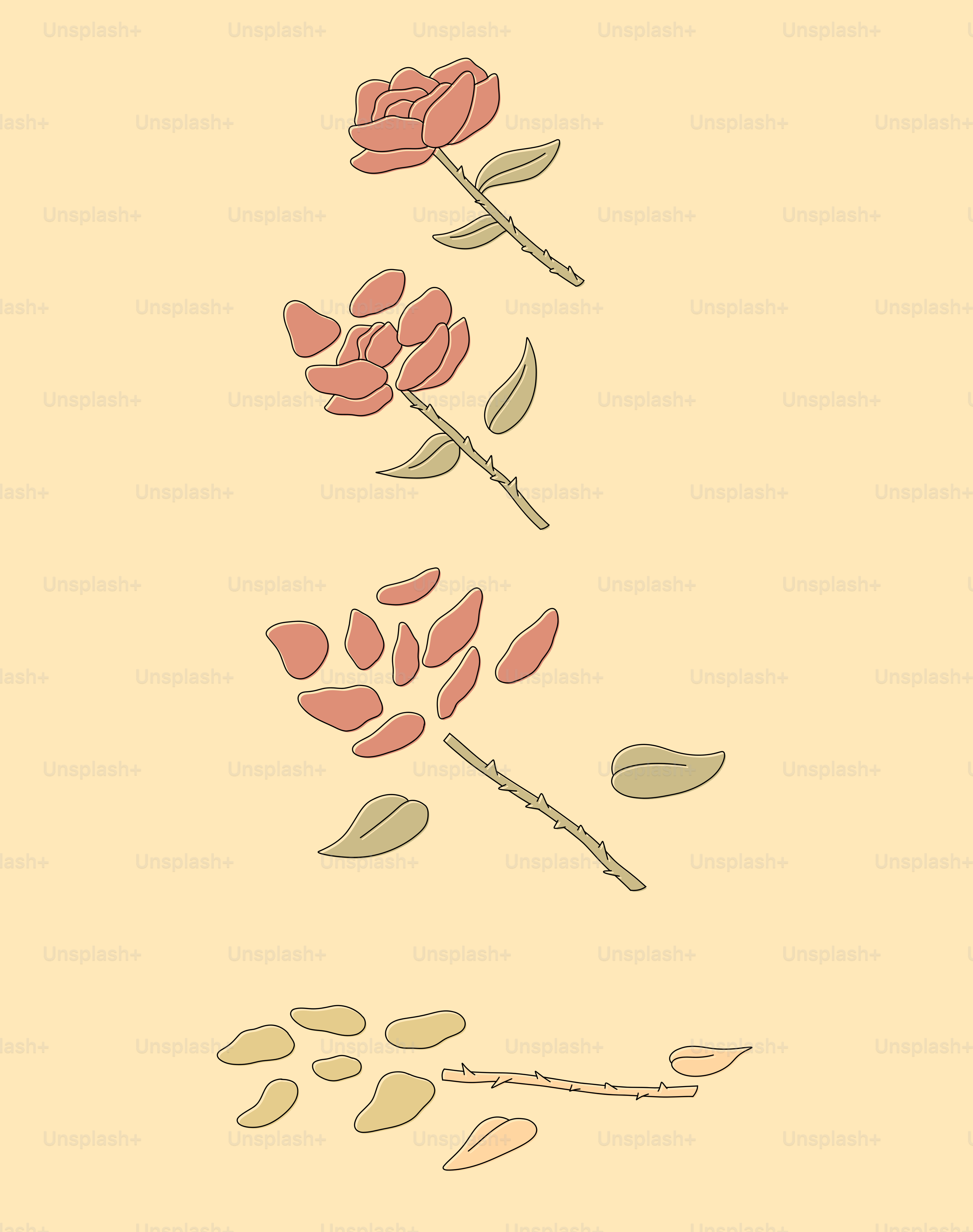 A rose disintegrating into pieces against a cream background