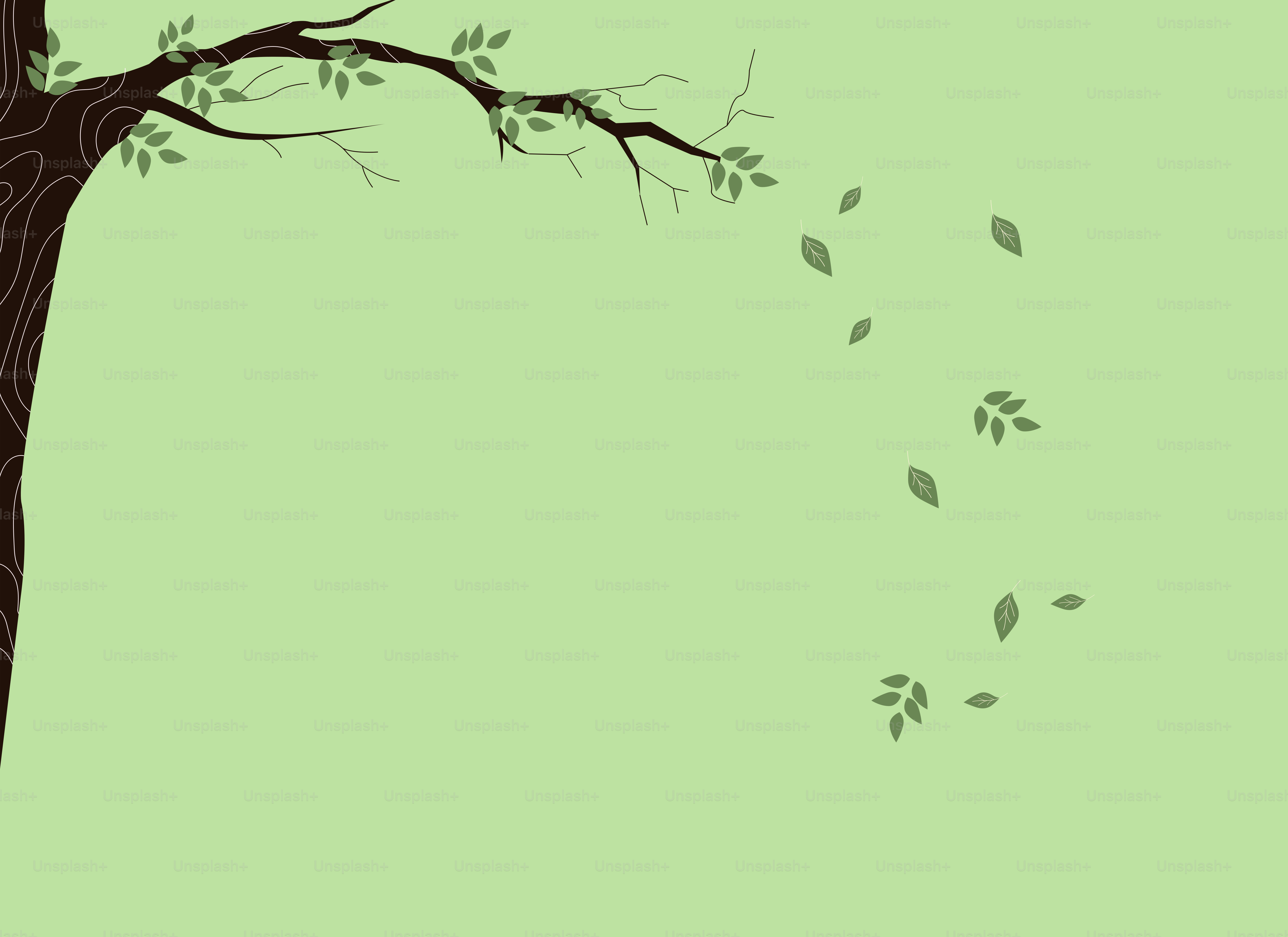 Tree branches with leaves falling against green background vector –  Background Image on Unsplash, image size:3000x2182