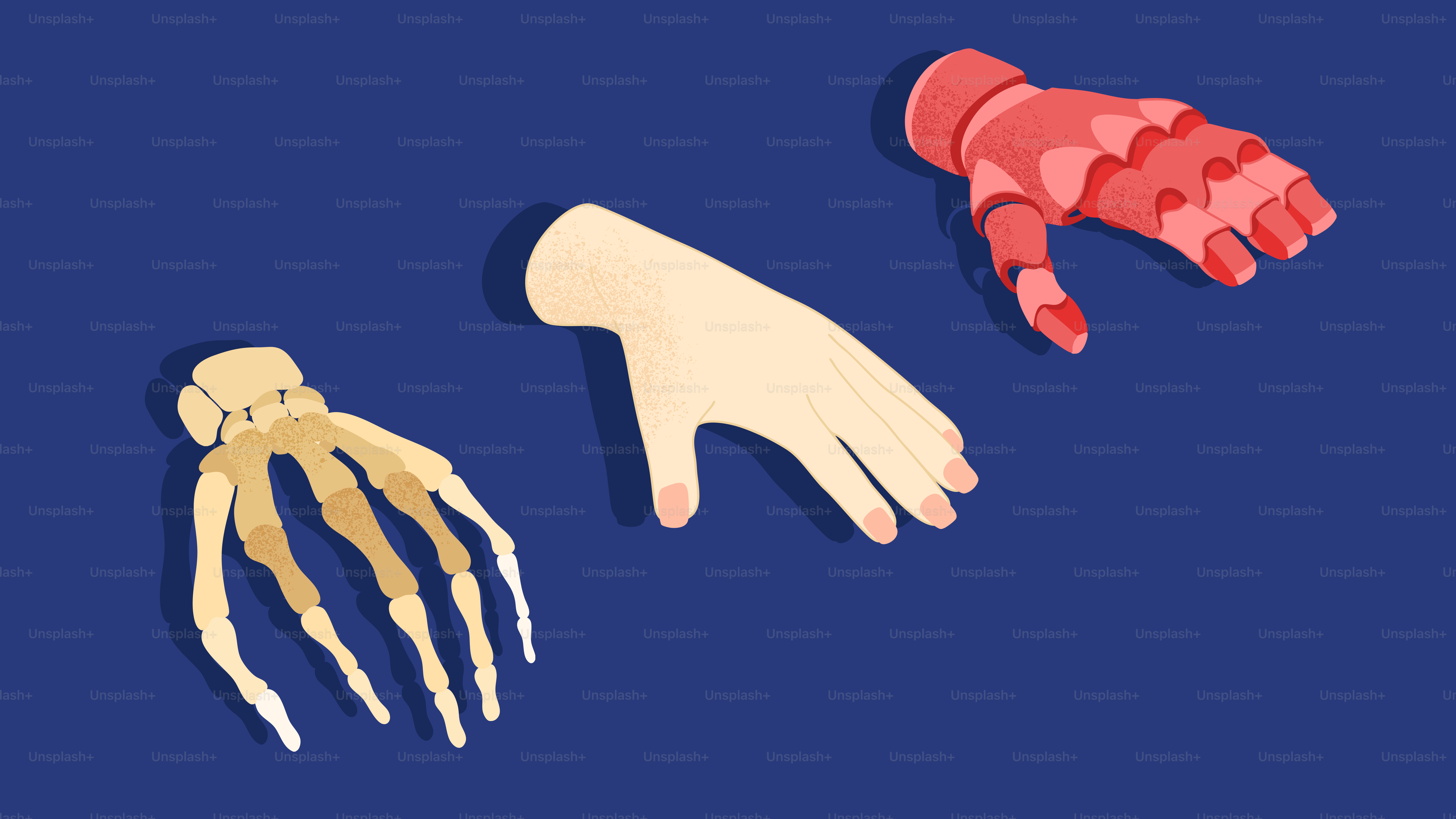 Three different representations of a human hand.