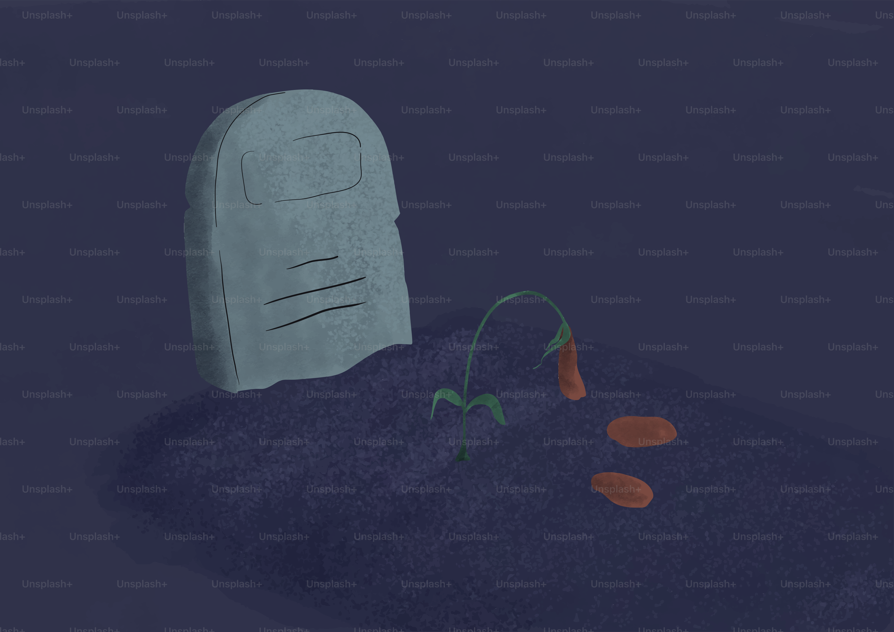 Uma lápide com uma planta de cenoura murcha nas proximidades