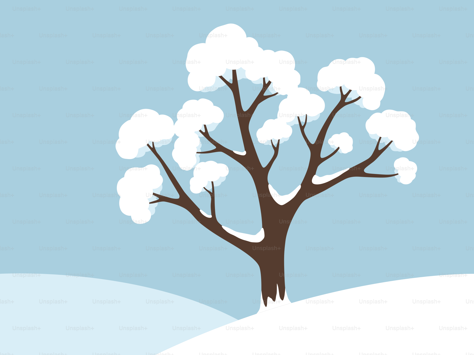 Snow covered tree on a winter day