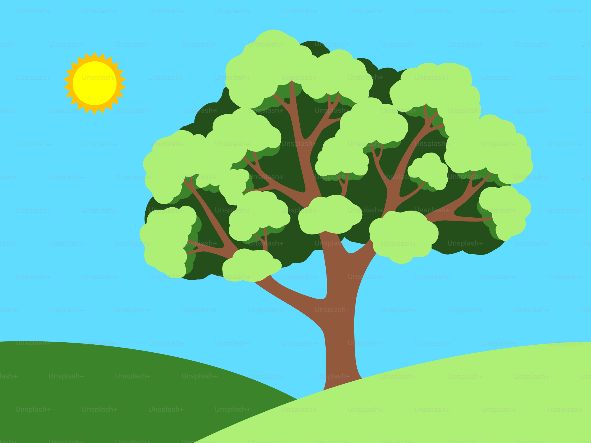 A green tree under a bright sun.