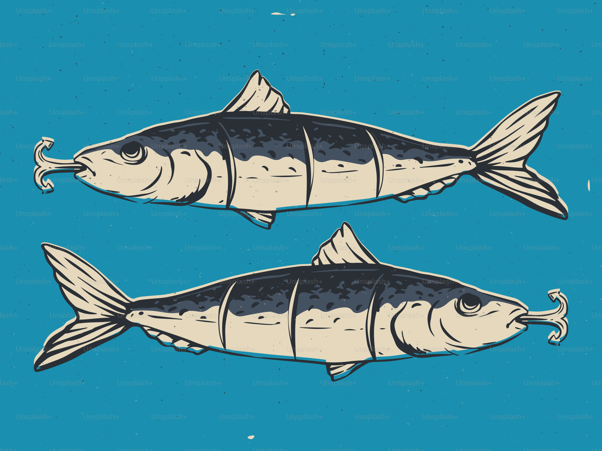 Two stylized fish swimming against blue background