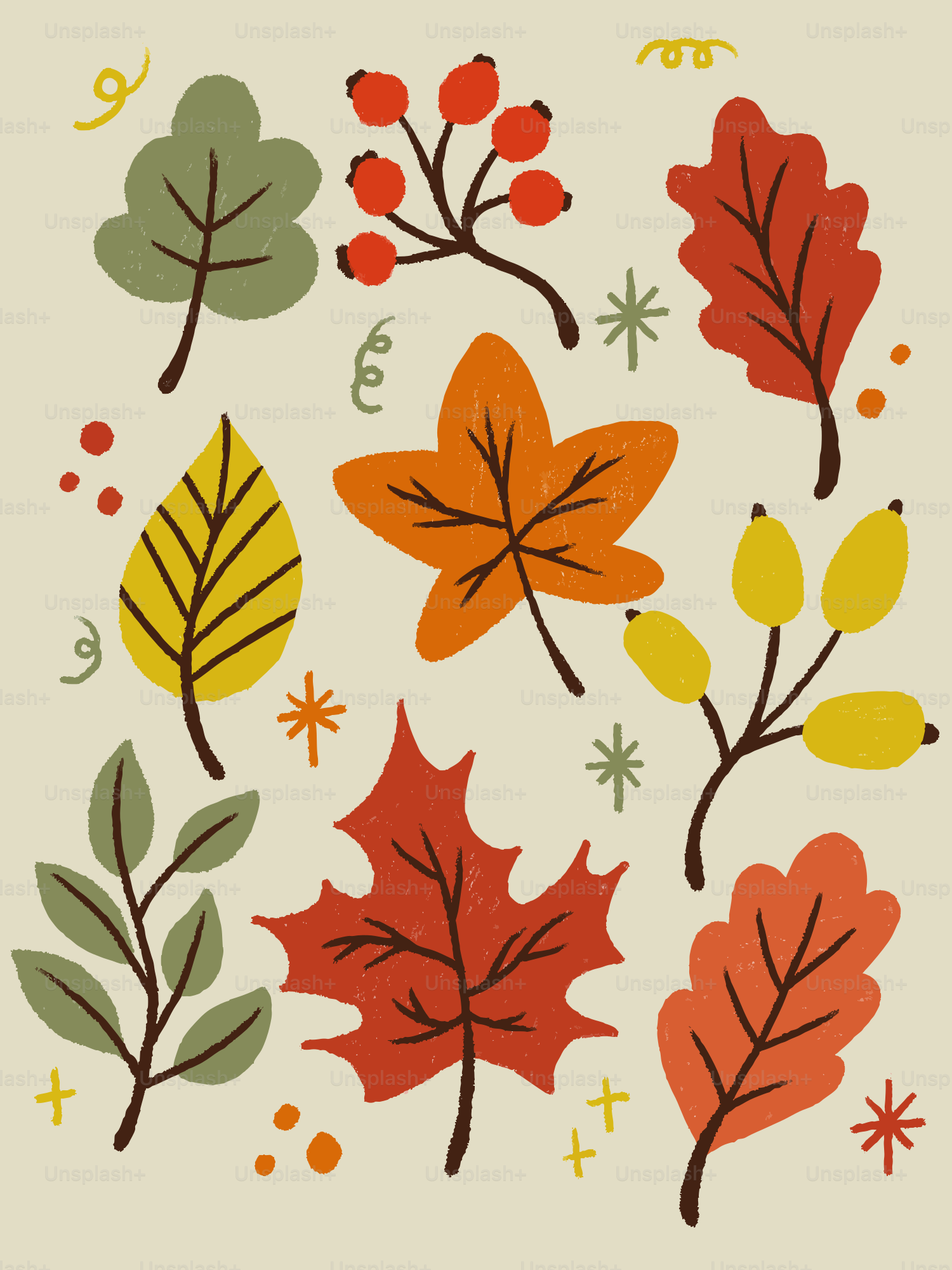 Autumn leaves and berries in a stylized pattern. vector – Autumn Image on  Unsplash, image size:3000x4000