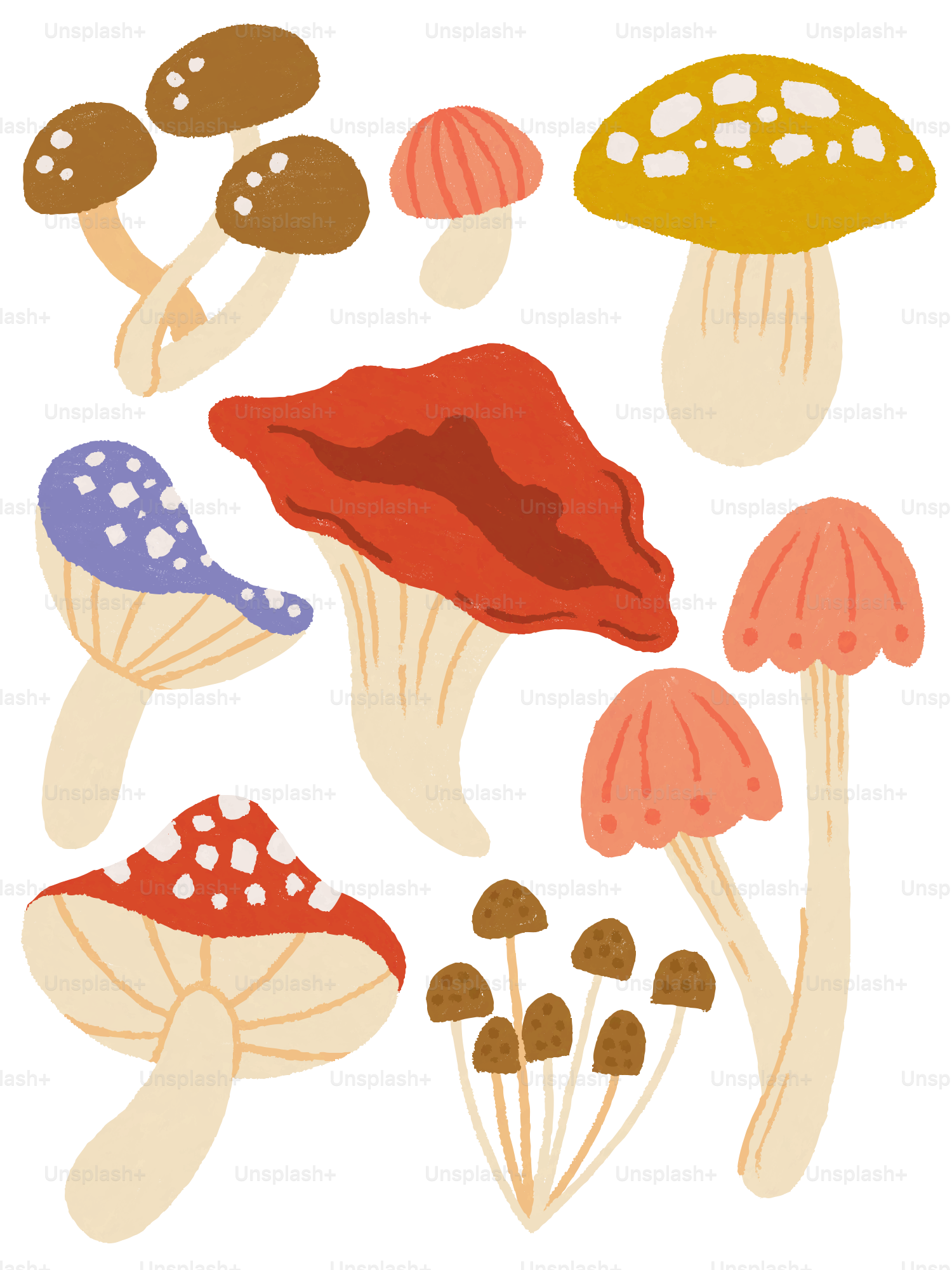 Assortment of colorful, whimsical mushrooms on white background