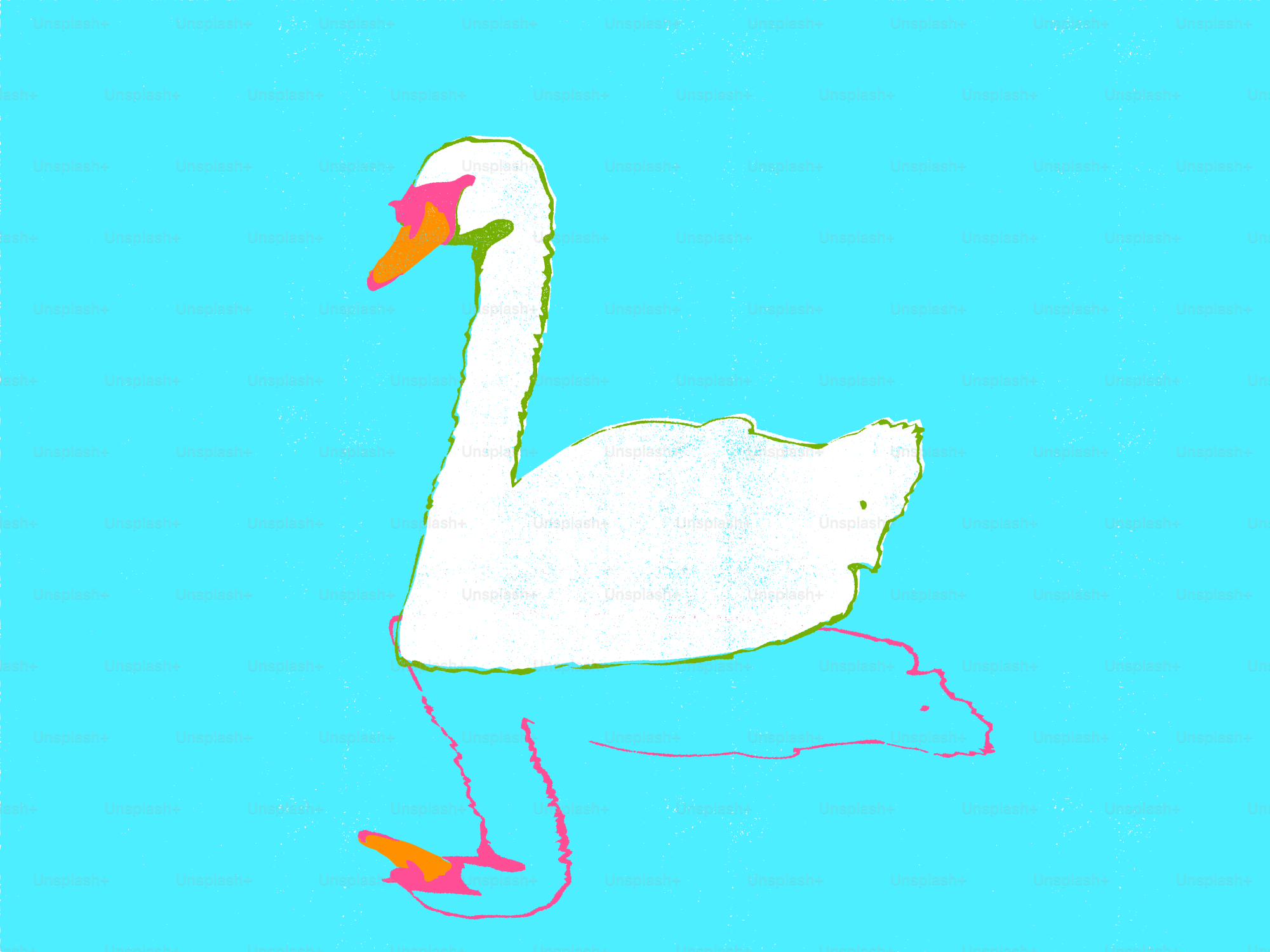 Un cygne blanc nage sur un fond bleu vif