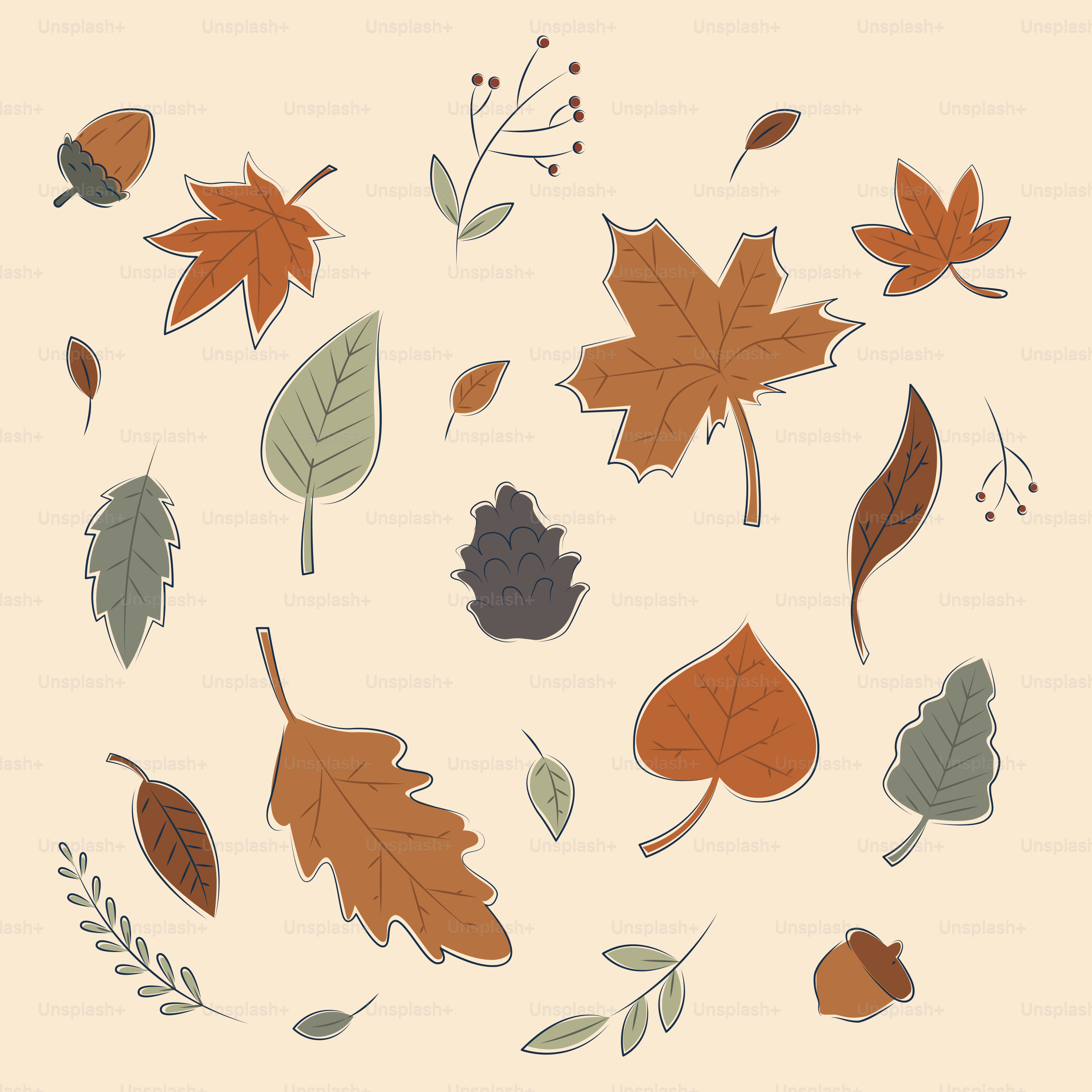 Various autumn leaves, acorns, and twigs scattered