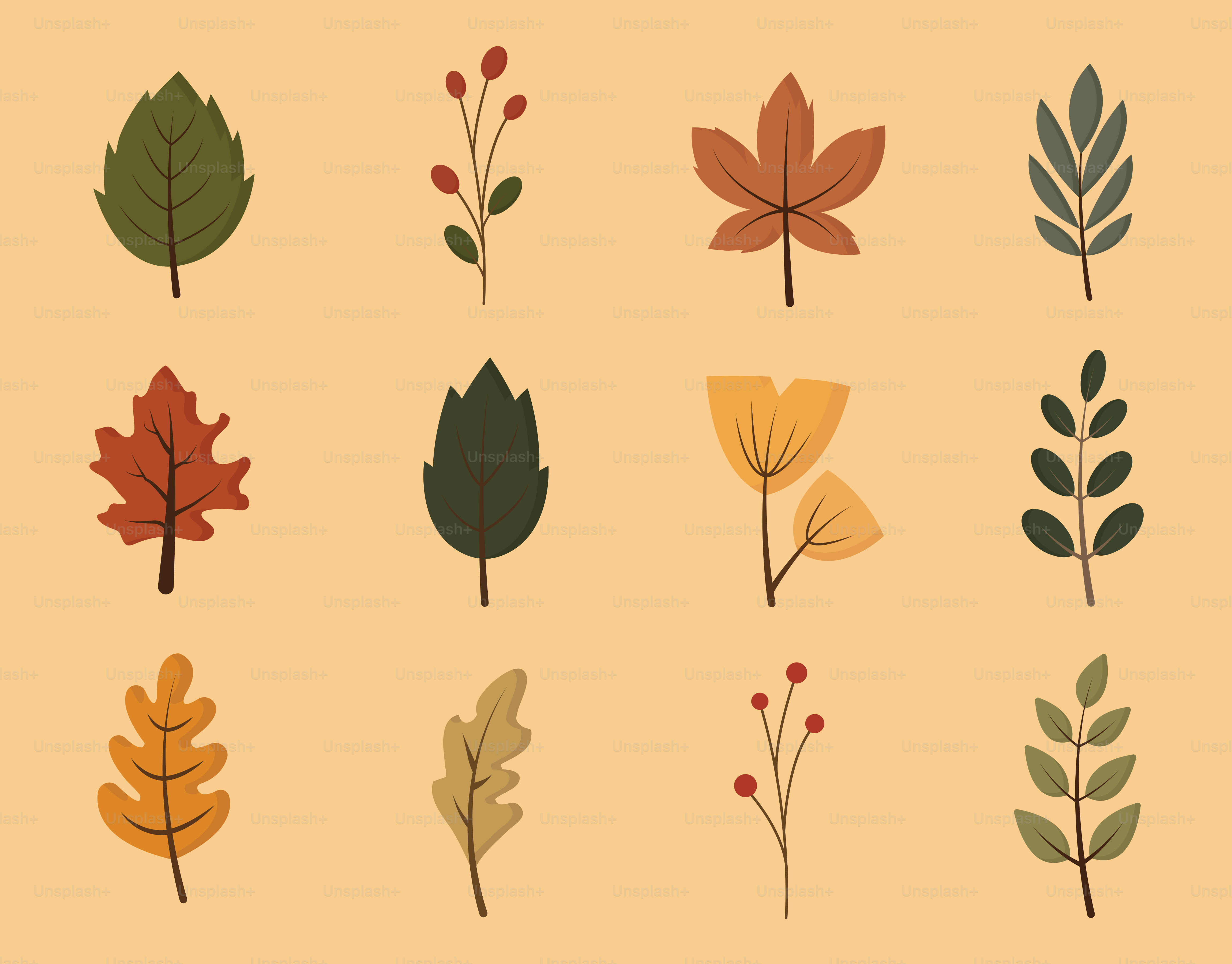 Collection of autumn leaves and berries on beige background