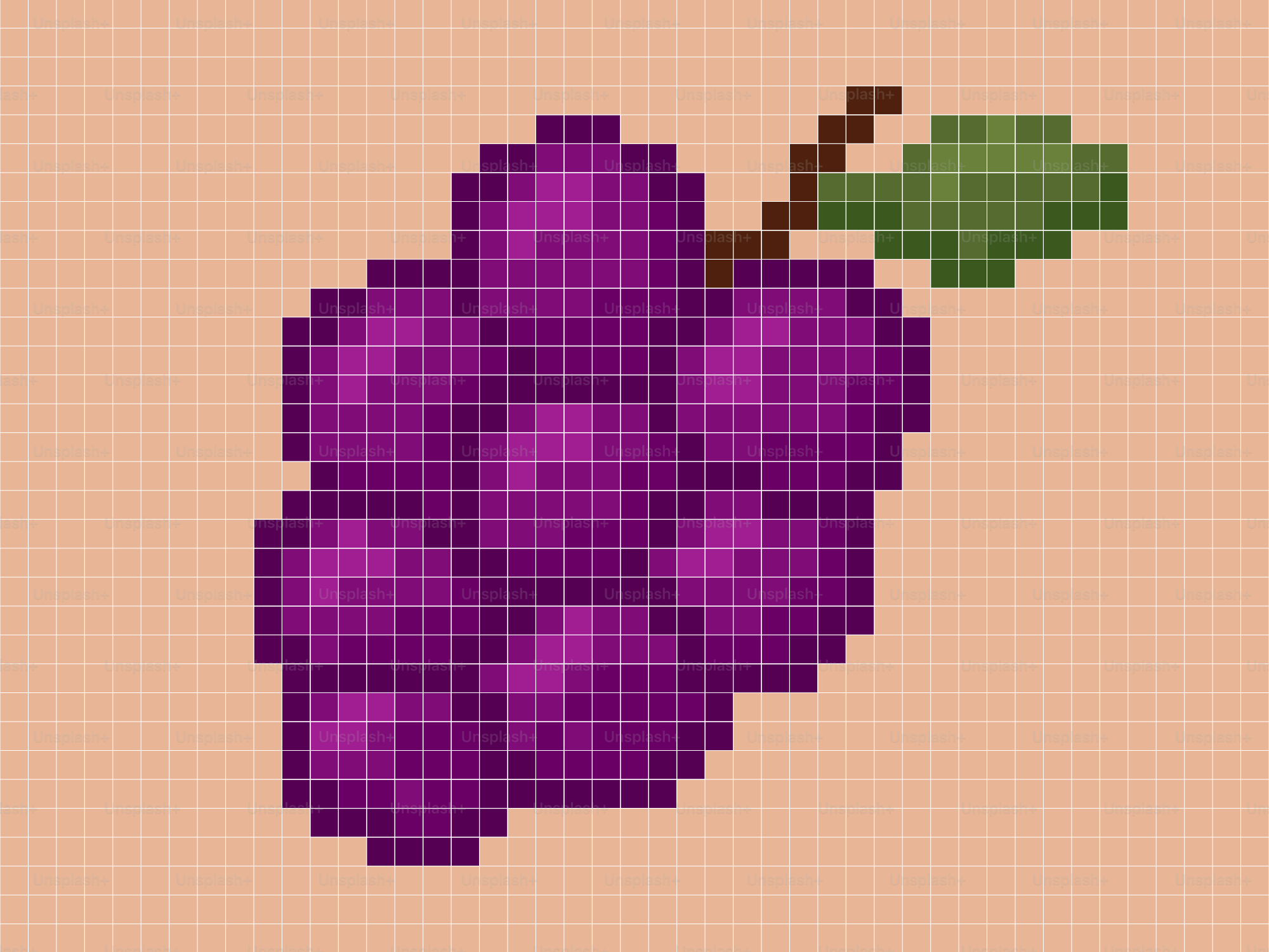 Pixel art of purple grapes with a green leaf.
