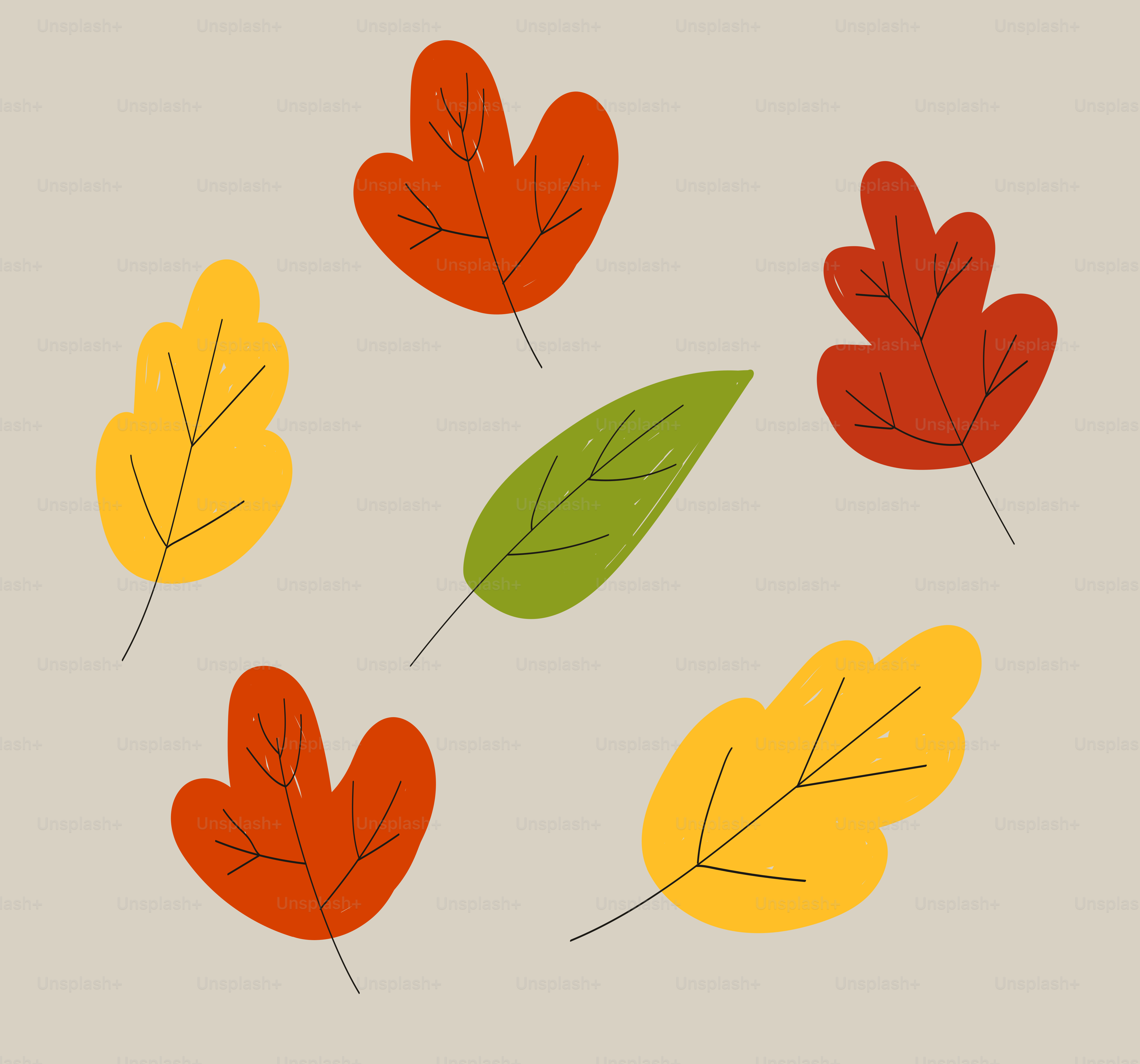 A collection of colorful autumn leaves scattered artfully. vector – Autumn  Image on Unsplash, image size:3000x2800