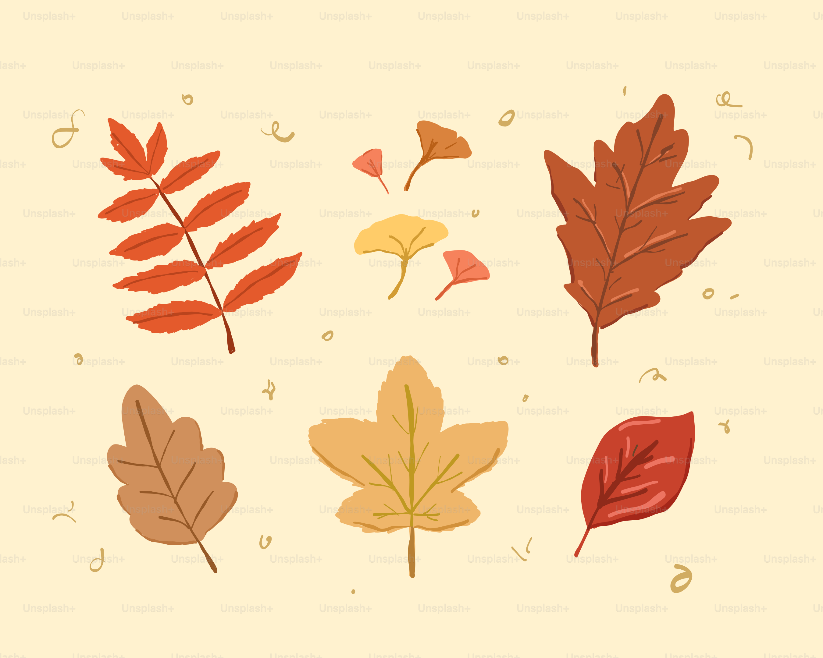 Assortment of colorful autumn leaves on a pale background.
