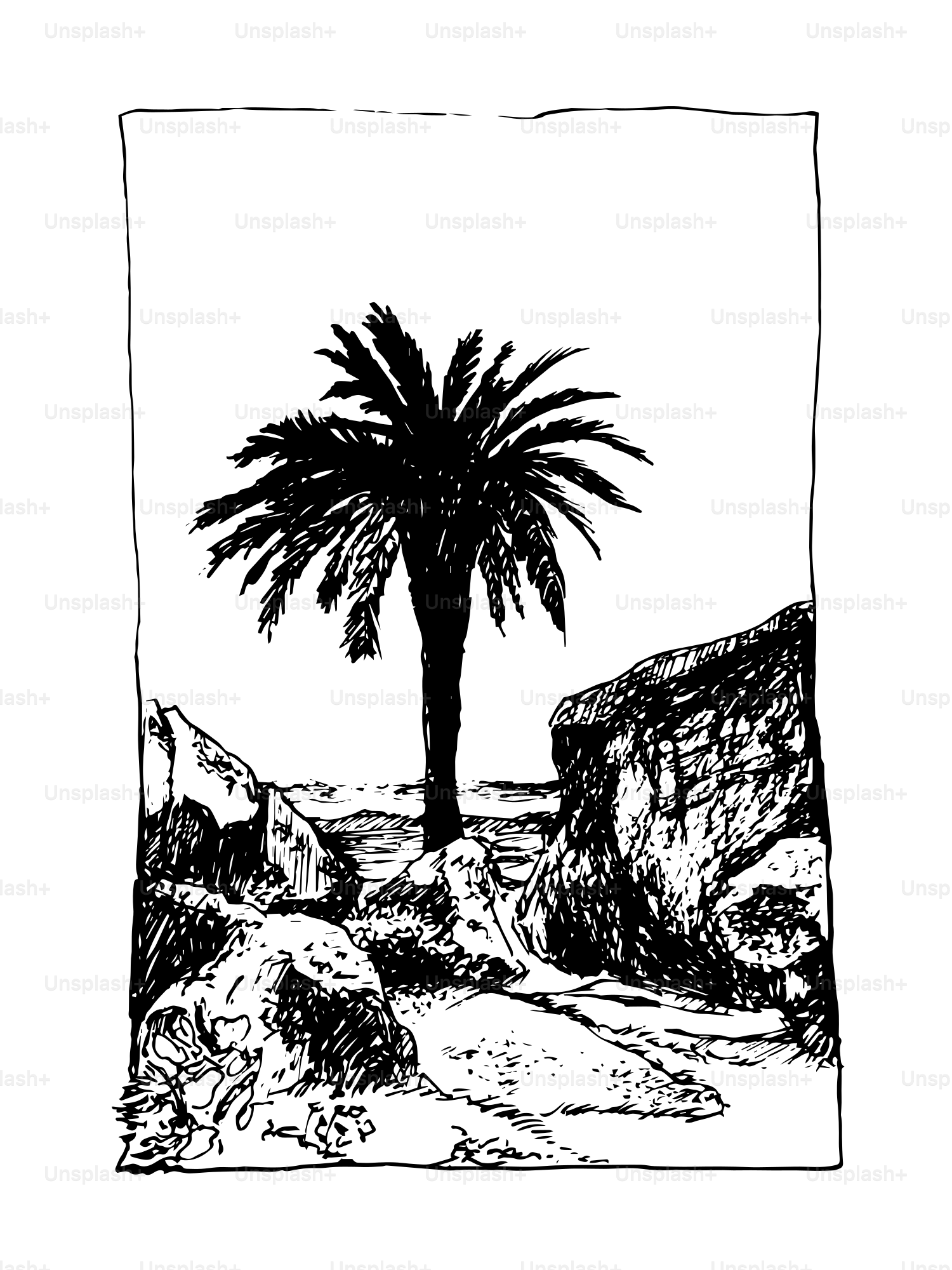 A lone palm tree stands among rocks near the sea.