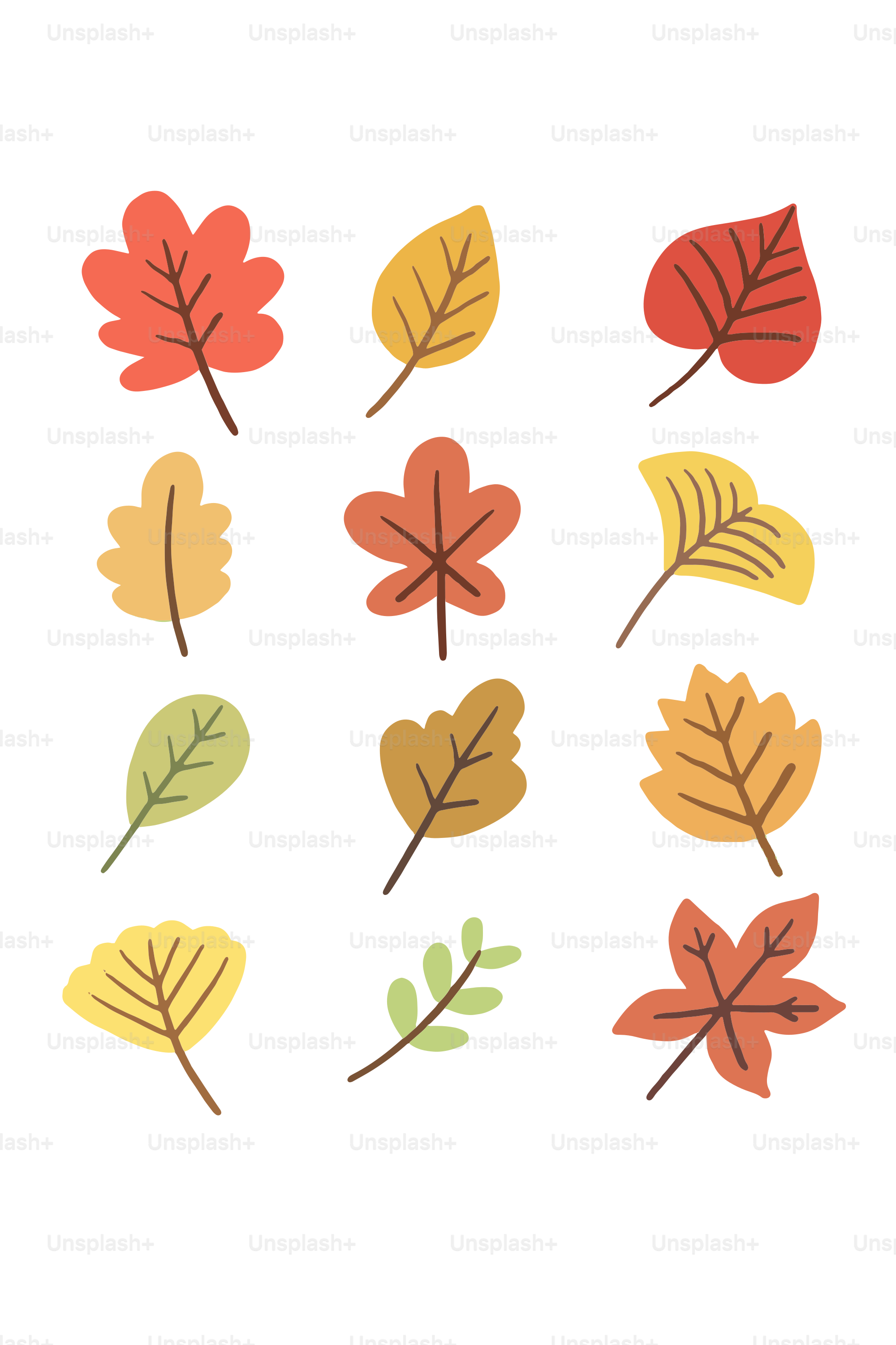 Collection of colorful autumn leaves on white background