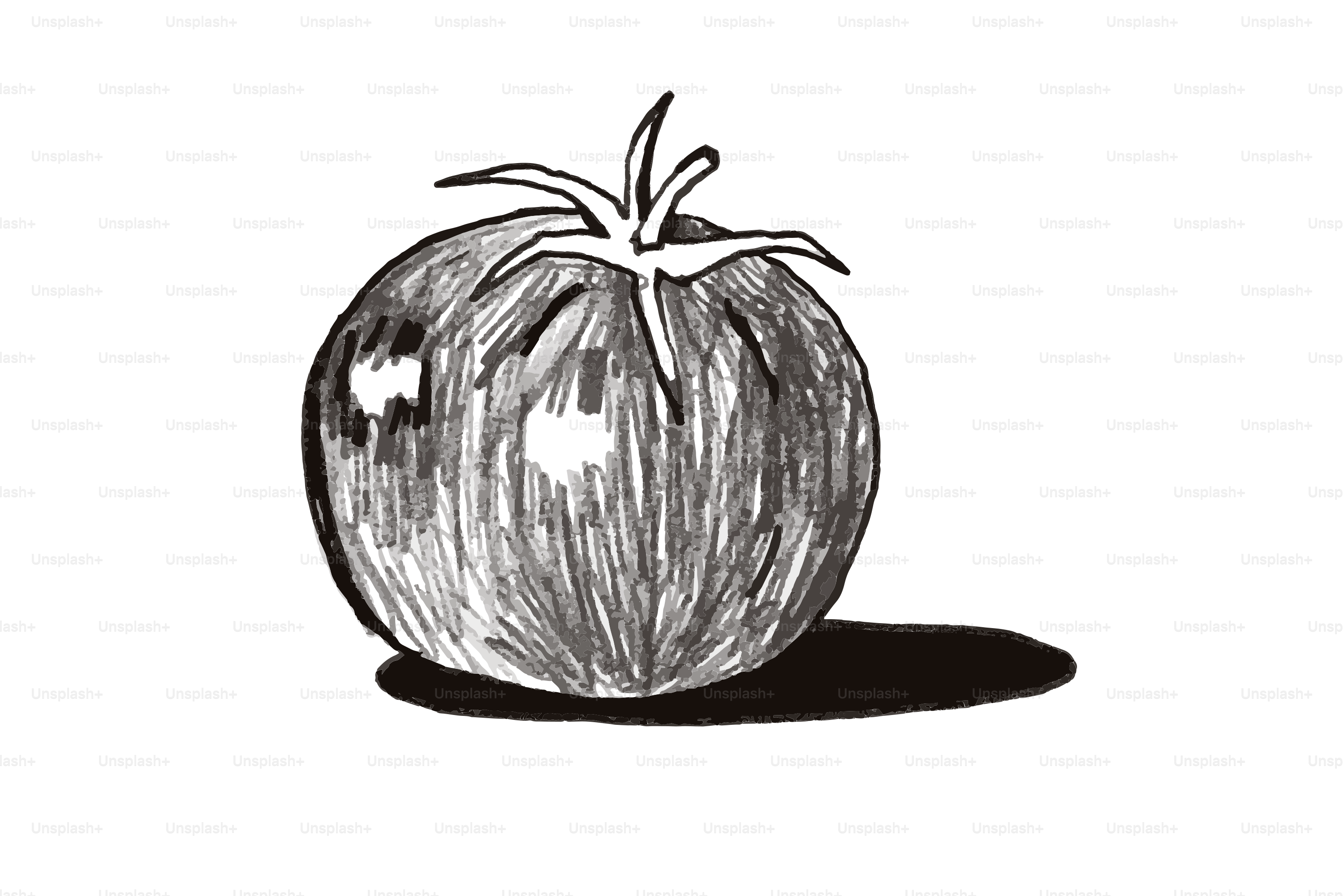 A hand-drawn sketch of a single tomato.