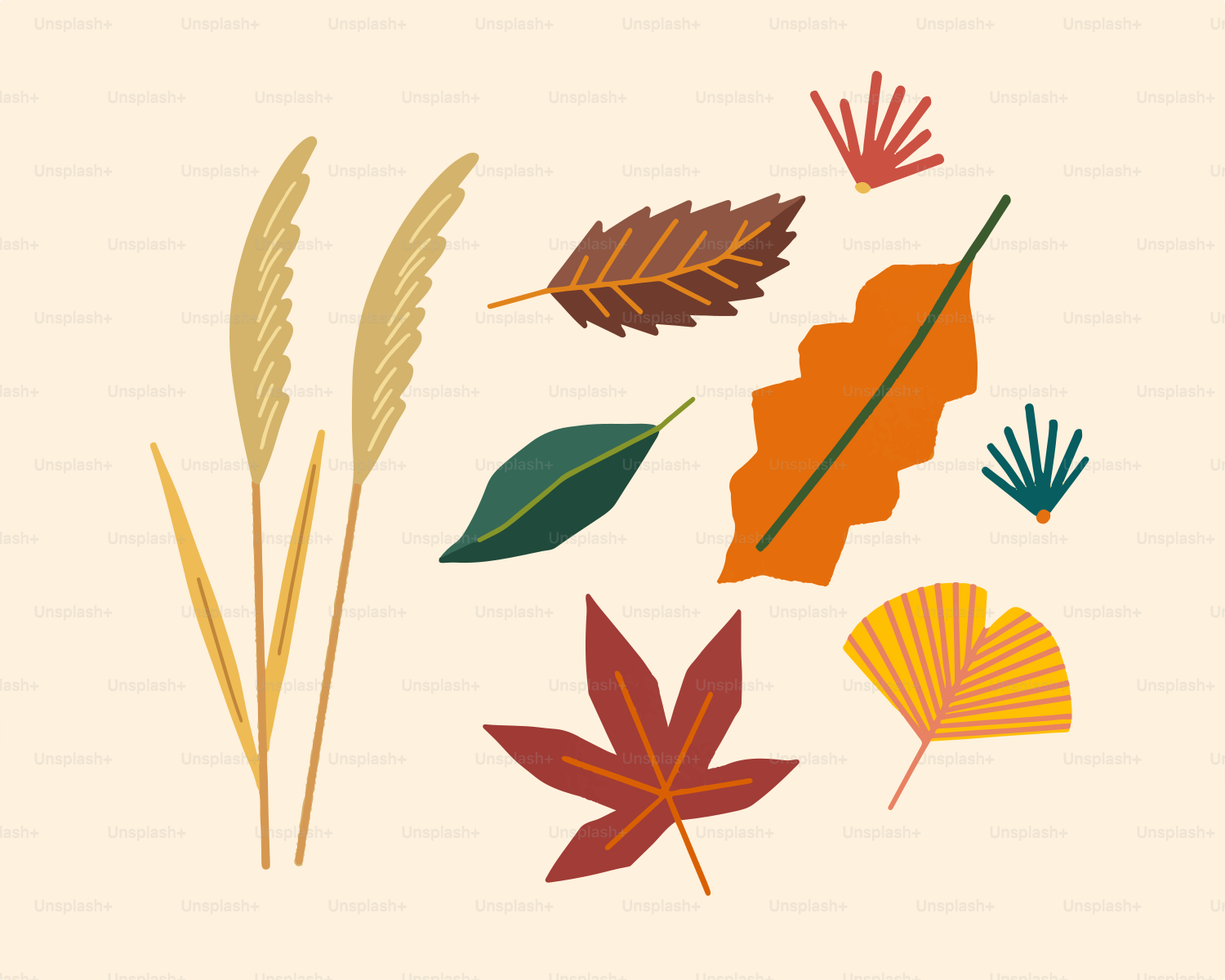 Various autumn leaves and grasses on a cream background