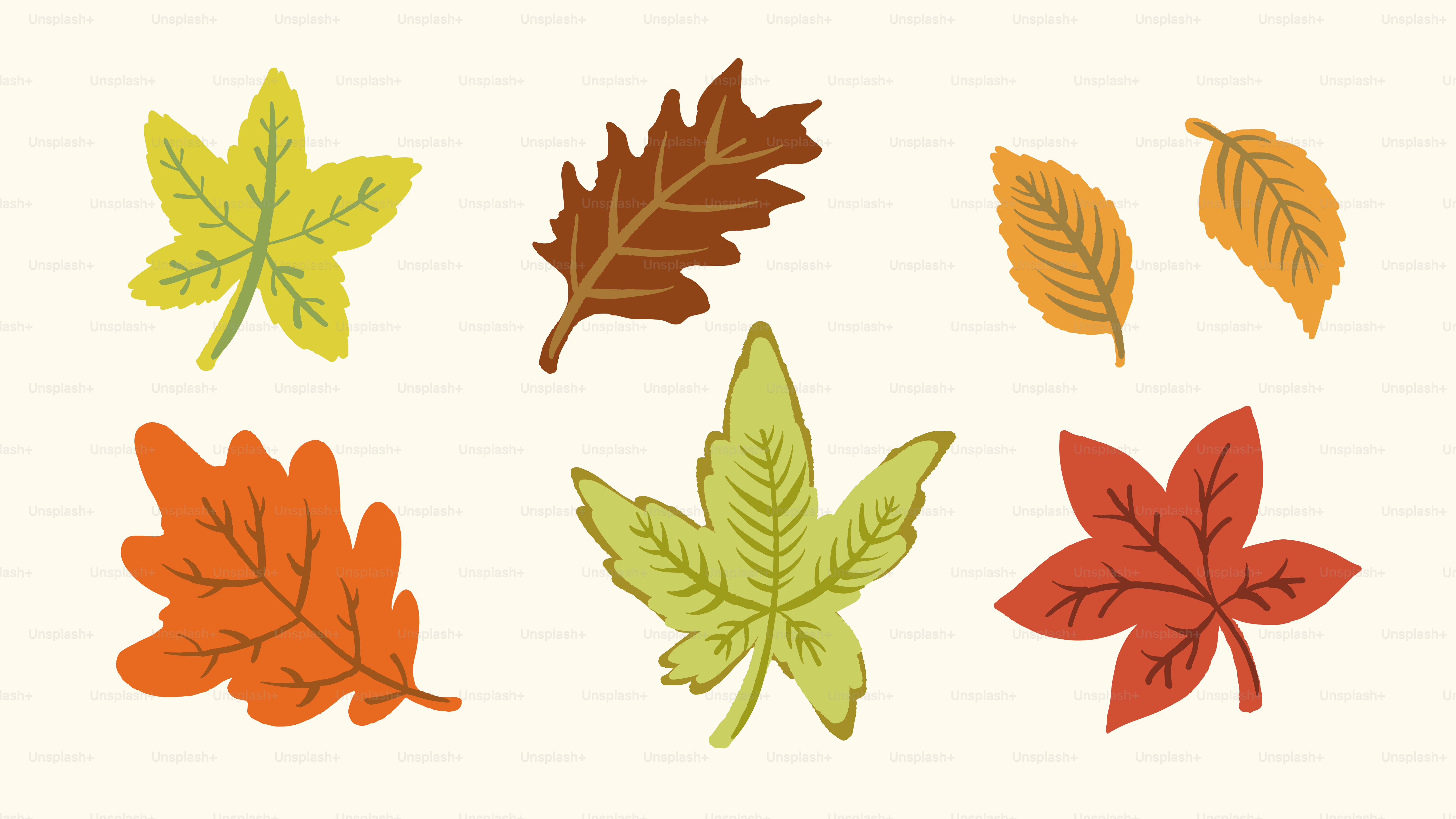 Various colorful autumn leaves arranged on a cream background vector –  Autumn Image on Unsplash, image size:3000x1688