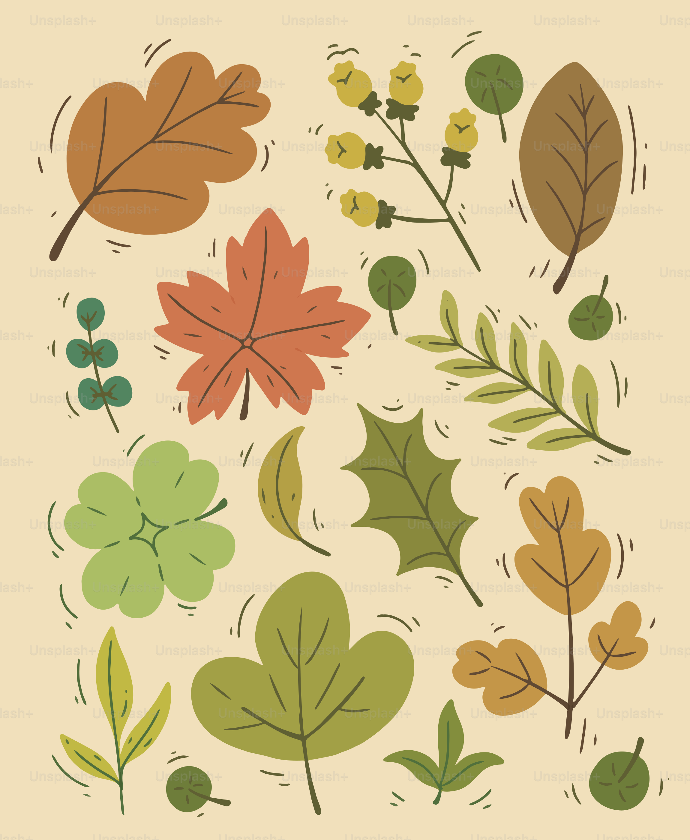 Assortment of colorful autumn leaves and sprigs.