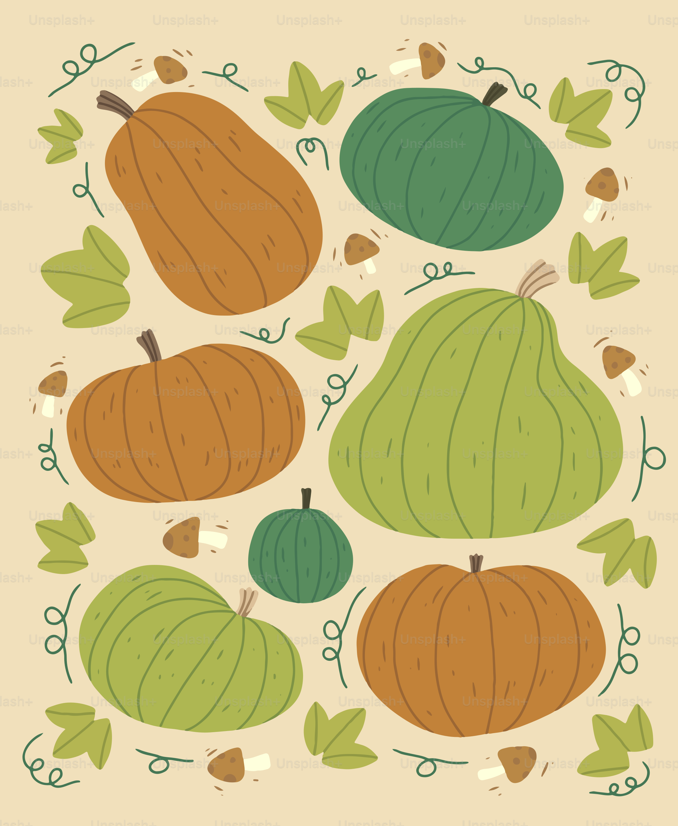Assortment of colorful pumpkins and mushrooms on beige background
