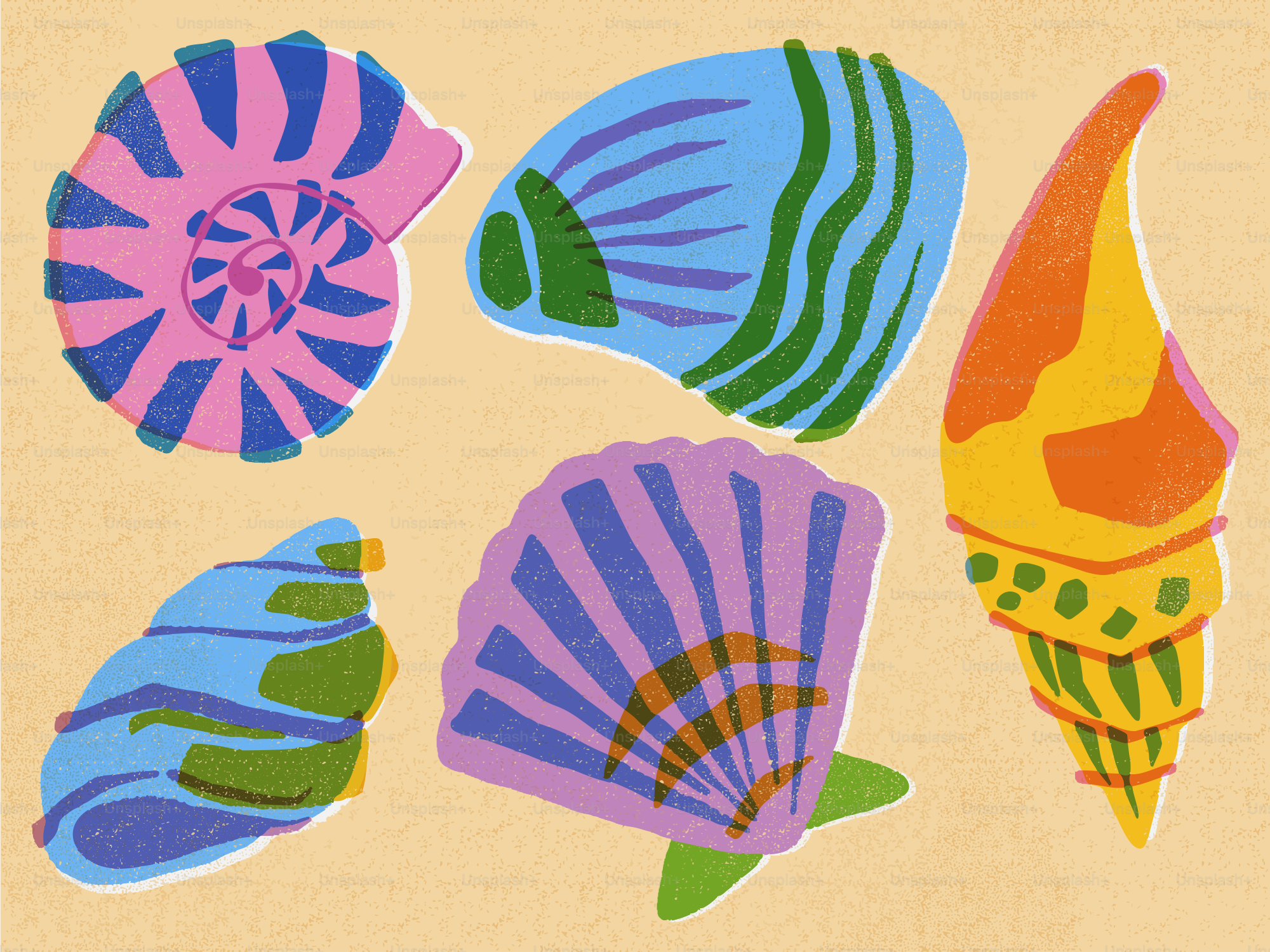 Six colorful seashells arranged on a light background