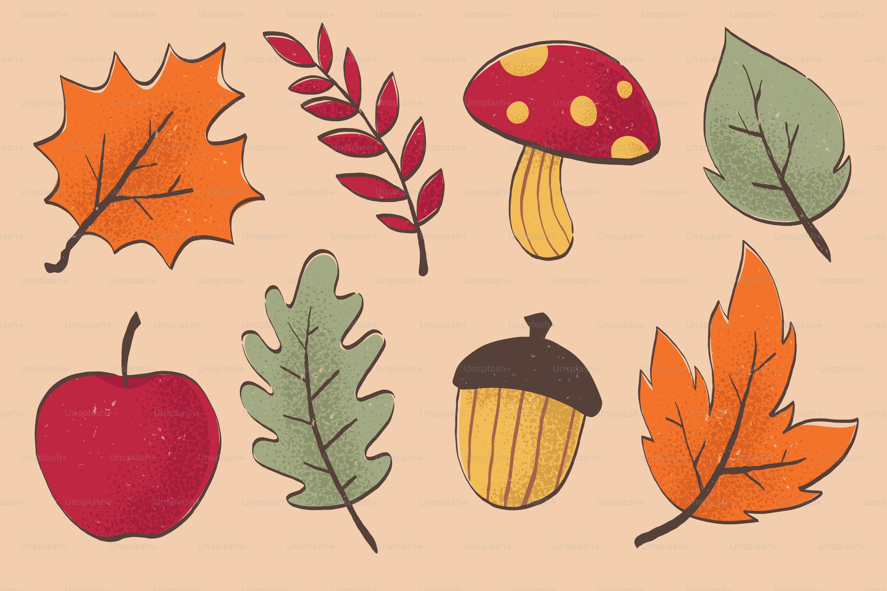 Illustrazione di foglie autunnali, mele, ghiande e funghi.
