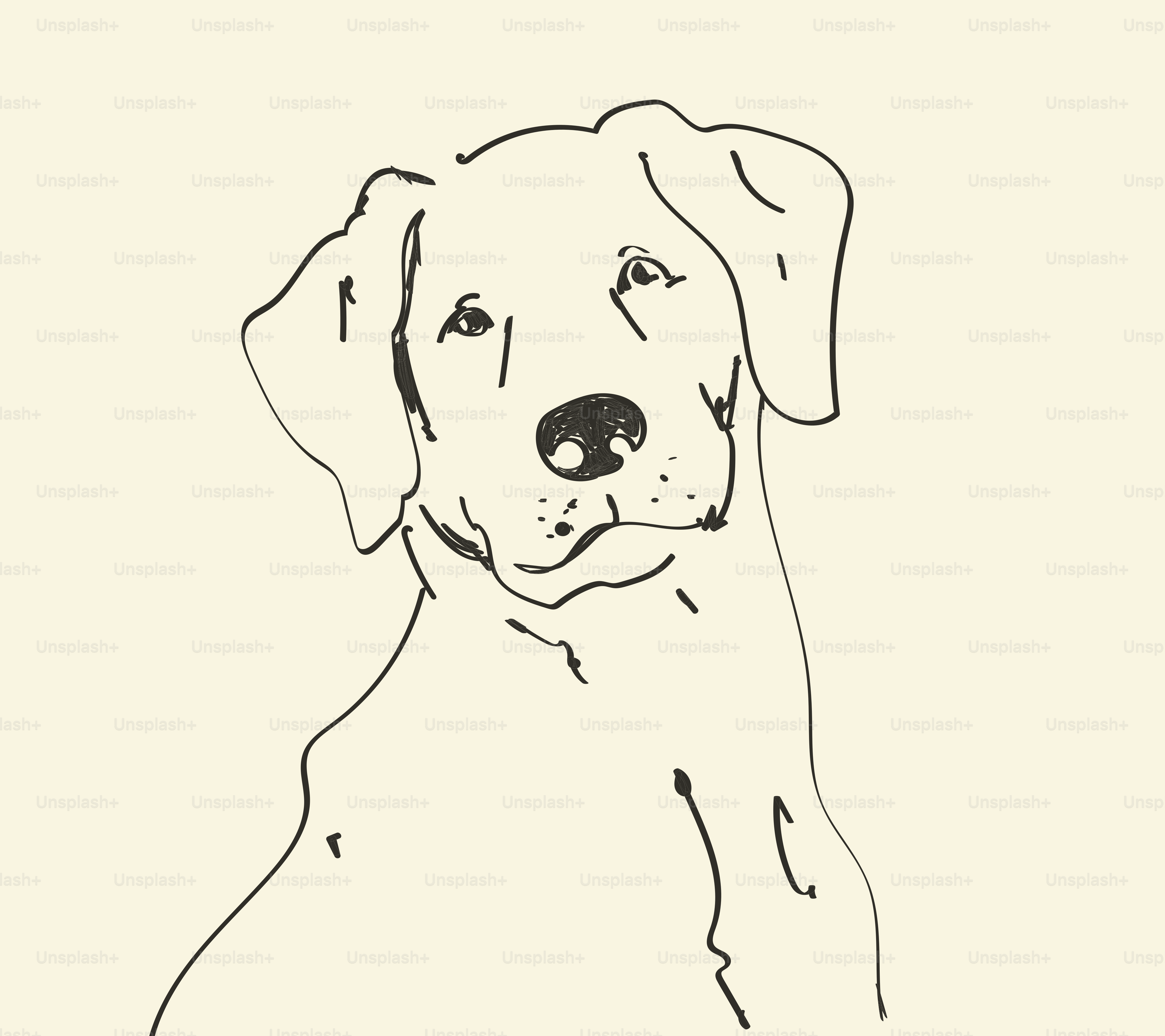 Line drawing of a dog's head and shoulders