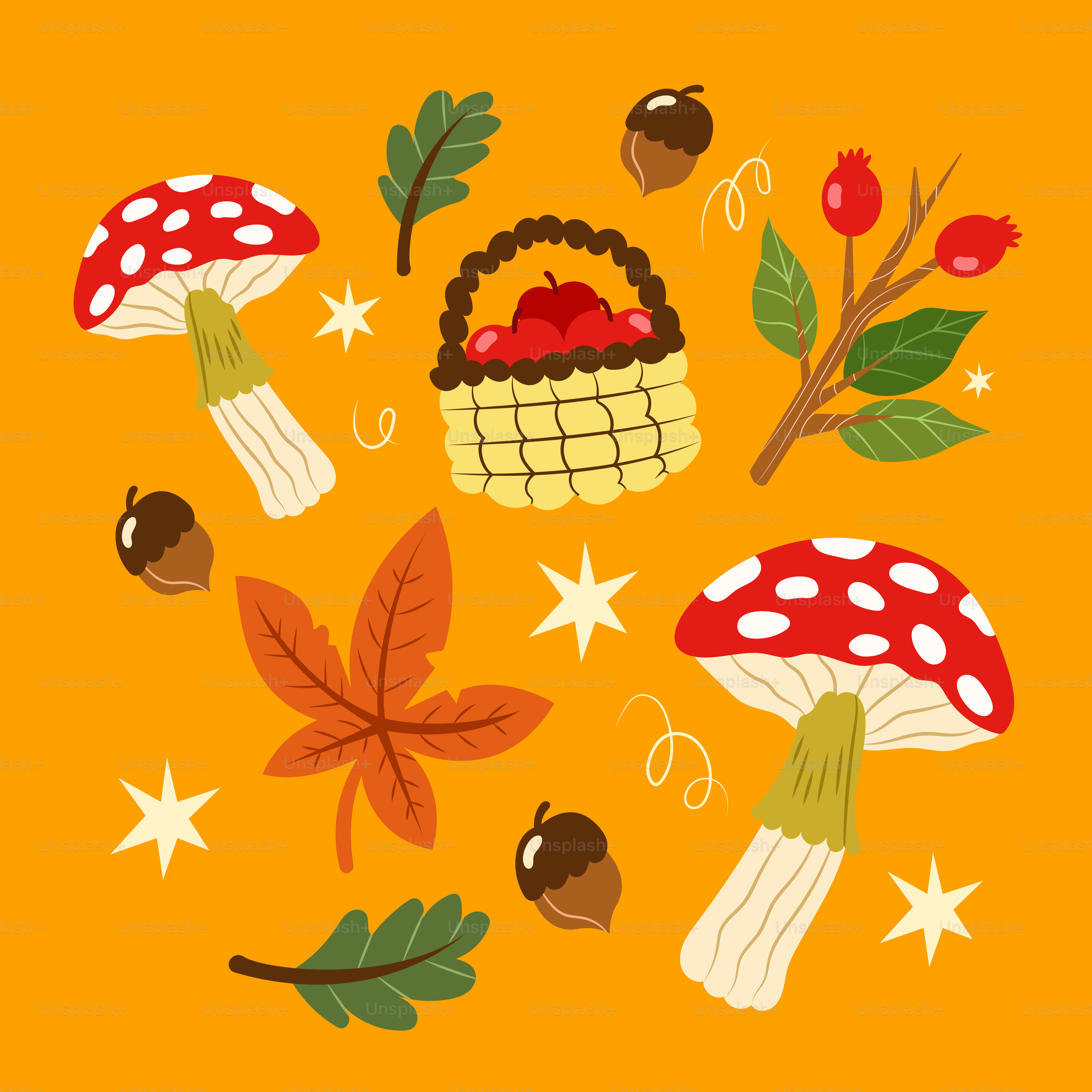 Éléments automnaux, y compris les champignons, les glands et les feuilles.