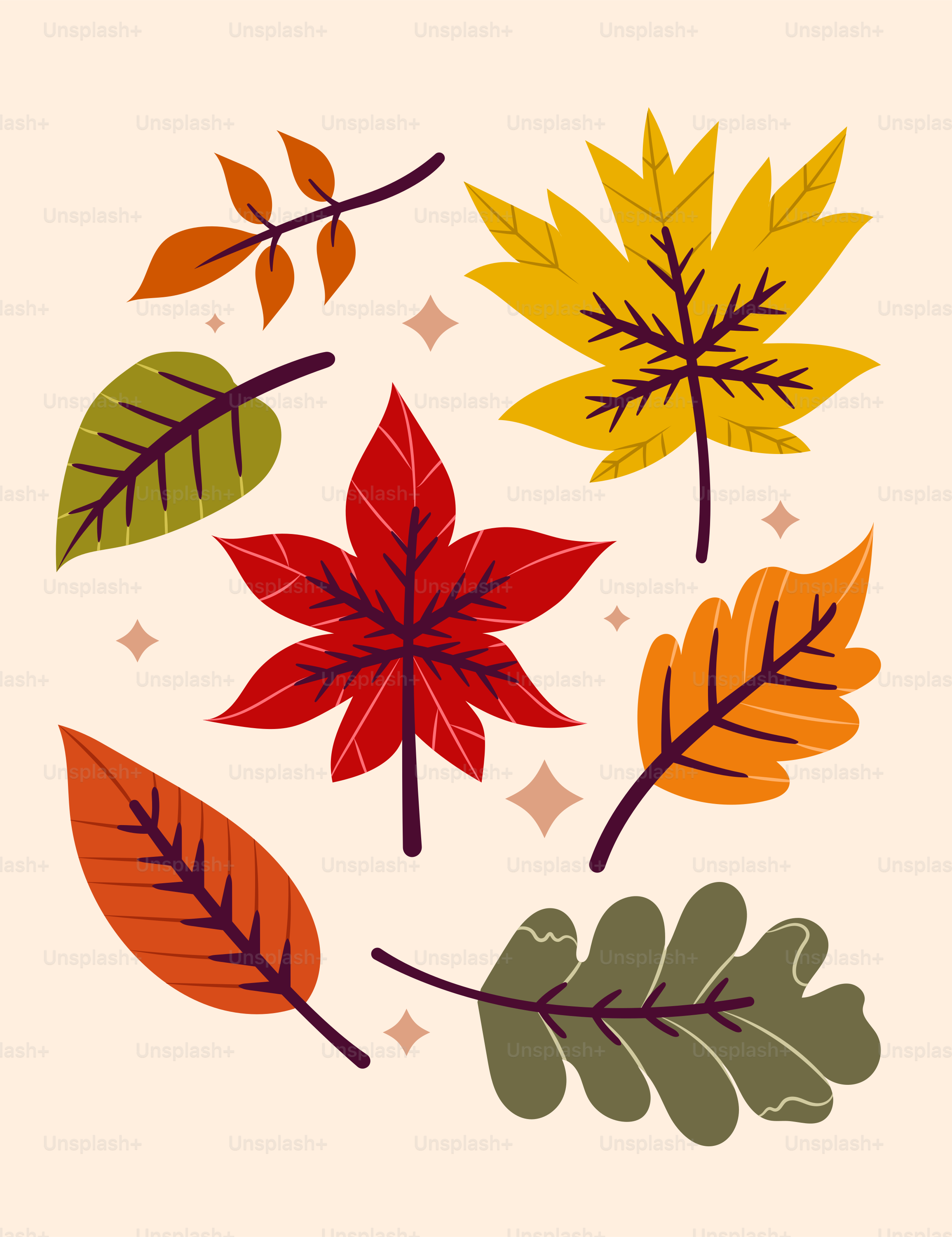 Collection of colorful autumn leaves on a light background.