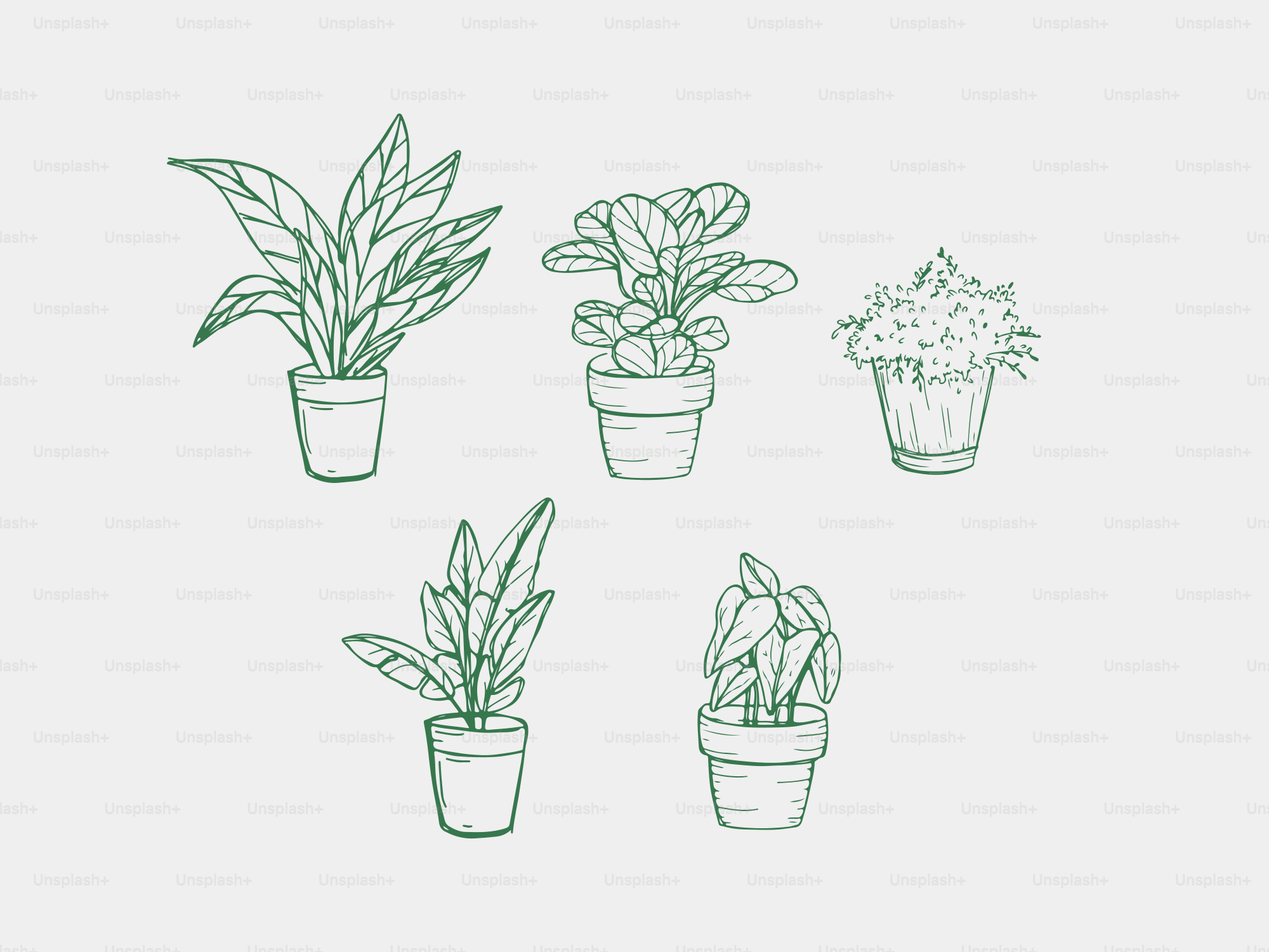 Five potted houseplants in a sketched outline style.