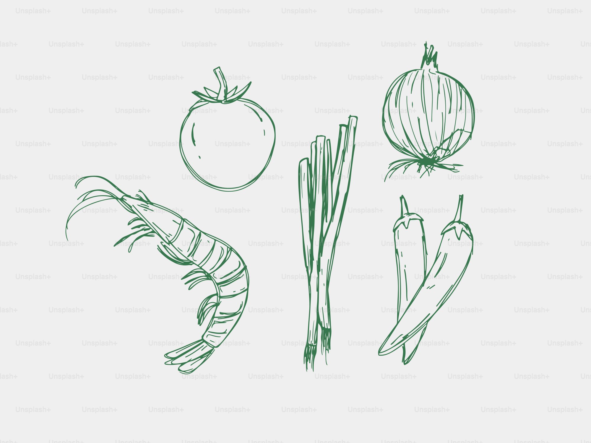 Shrimp, tomato, onion, chilies, and lemongrass sketch of lemongrass