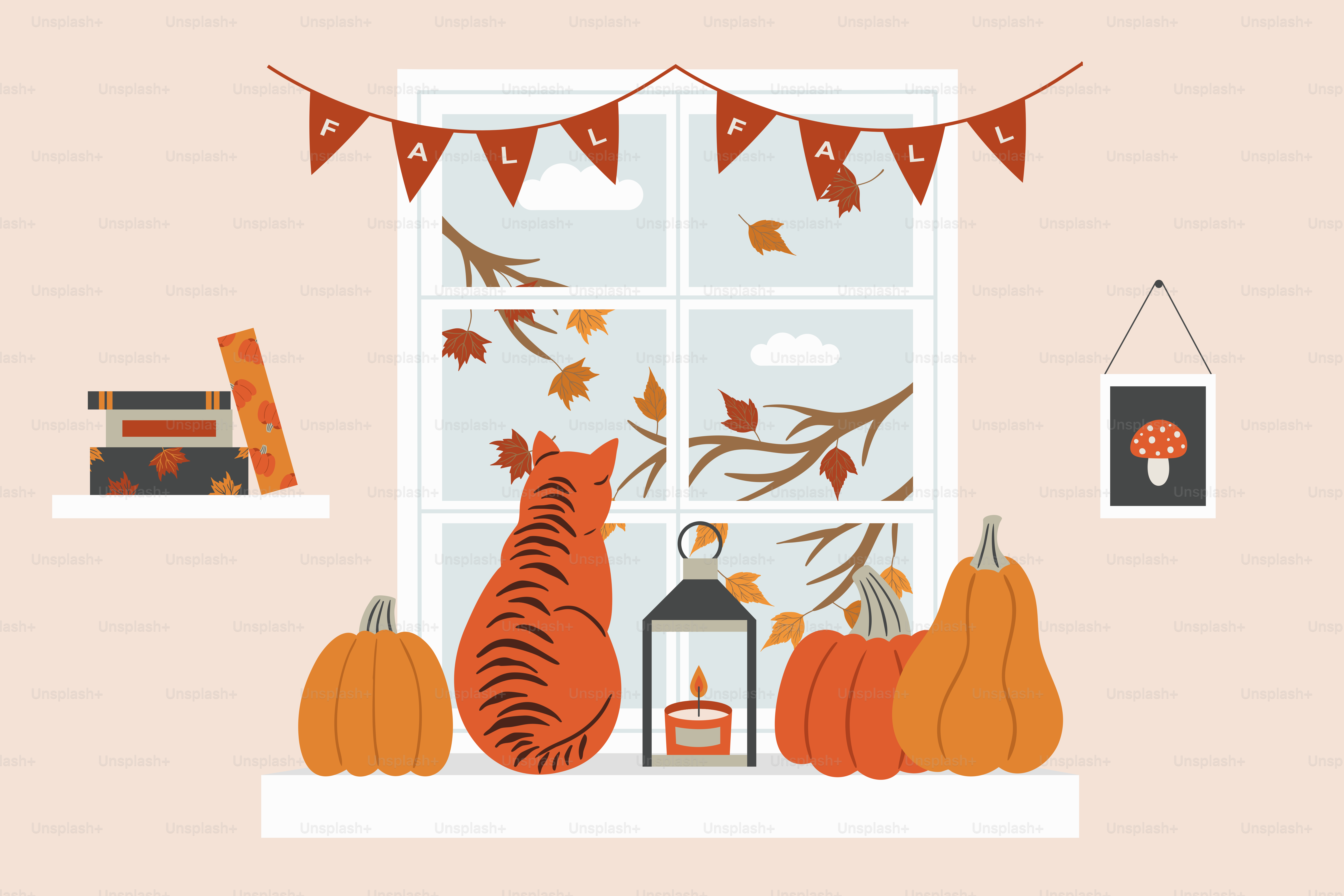 Cat looking out window with pumpkins and fall decor.