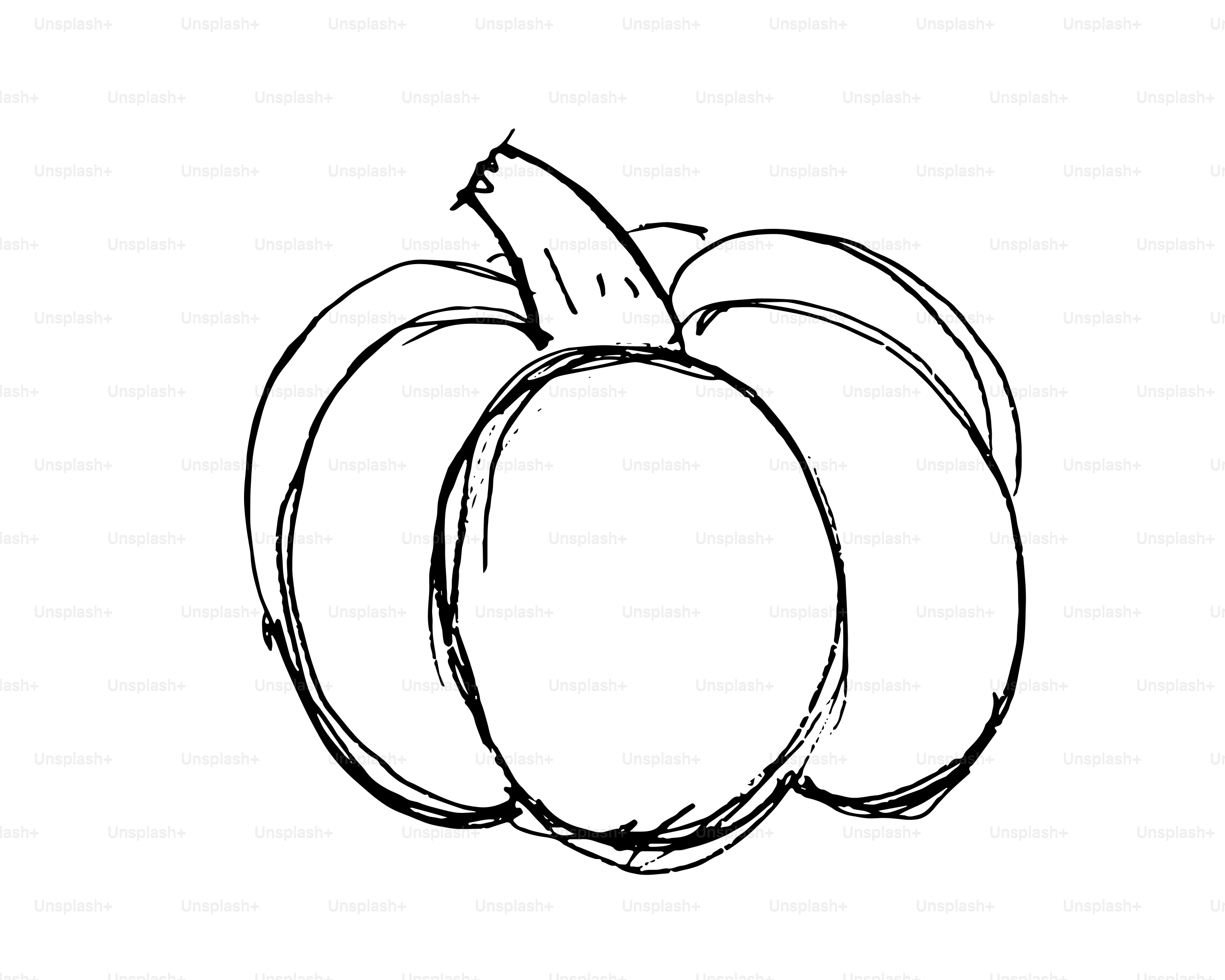 A sketch of a round pumpkin with a stem.