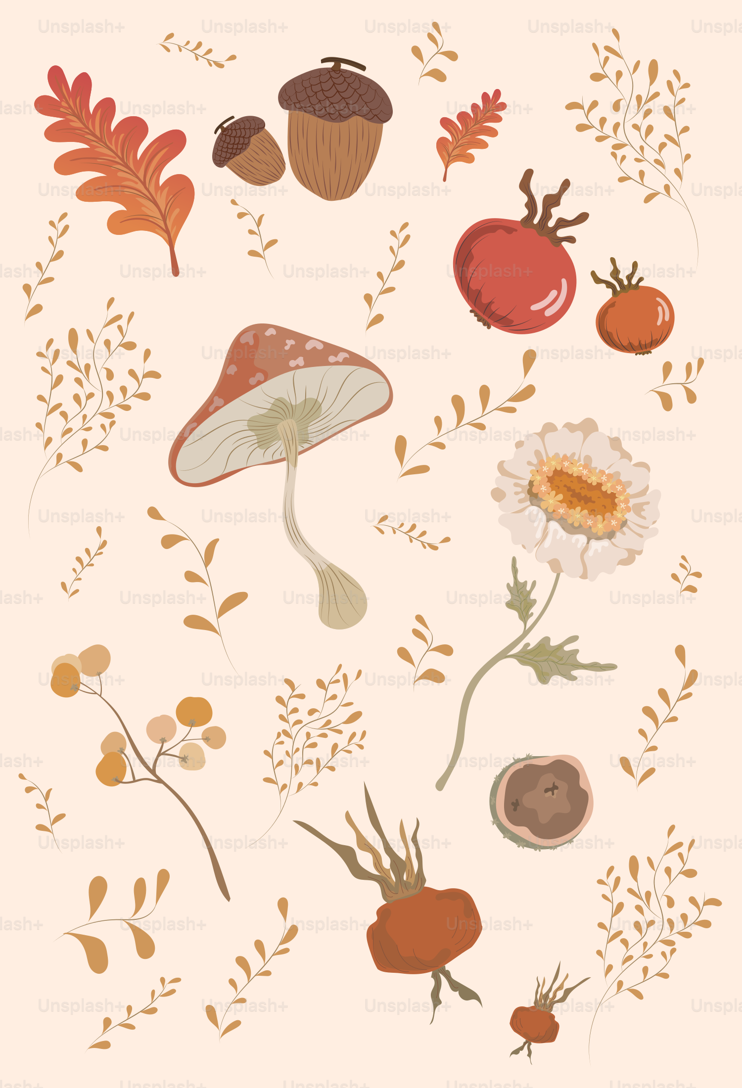 Autumnal elements including acorns, mushroom, and leaves.