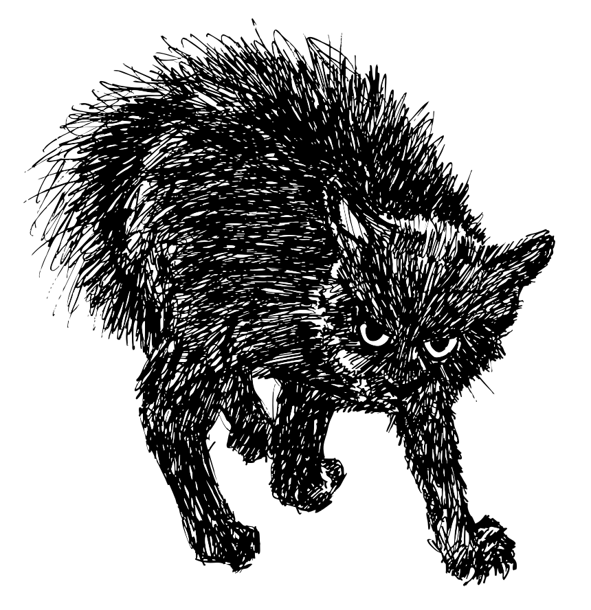 하버드 자연사 박물관의 최고 표본 10가지 : r/boston, image size:3000x3097