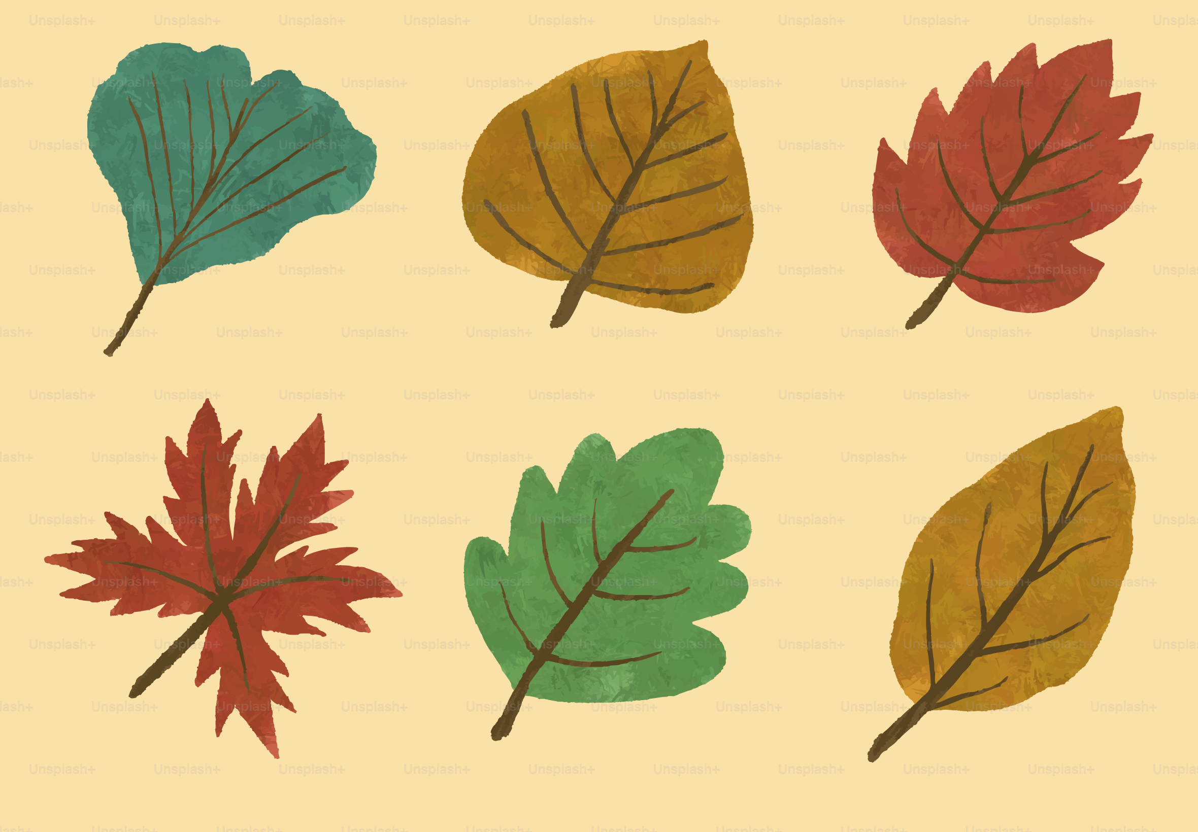 Seis coloridas hojas otoñales sobre un fondo claro