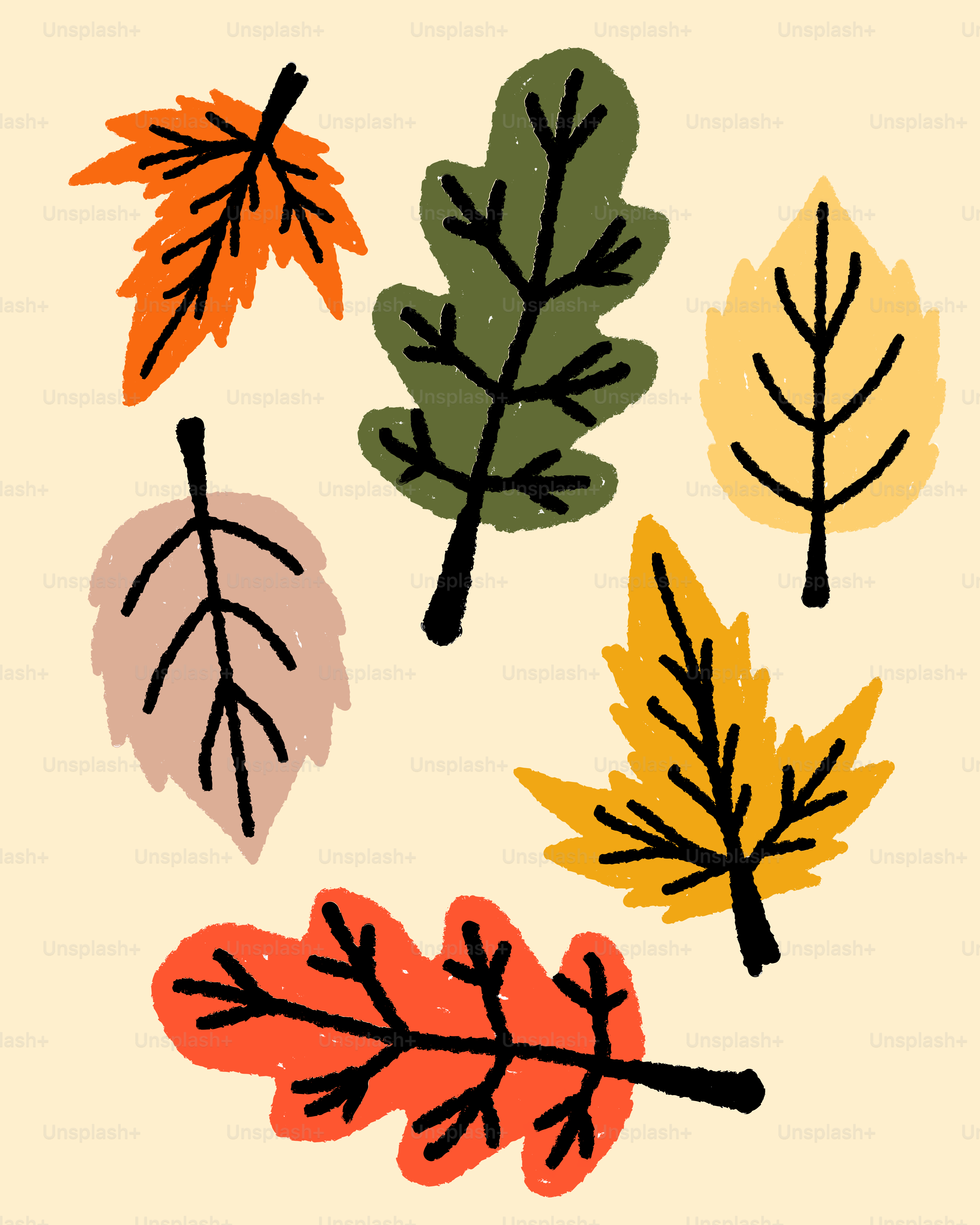 Various colorful autumn leaves scattered on a light background.
