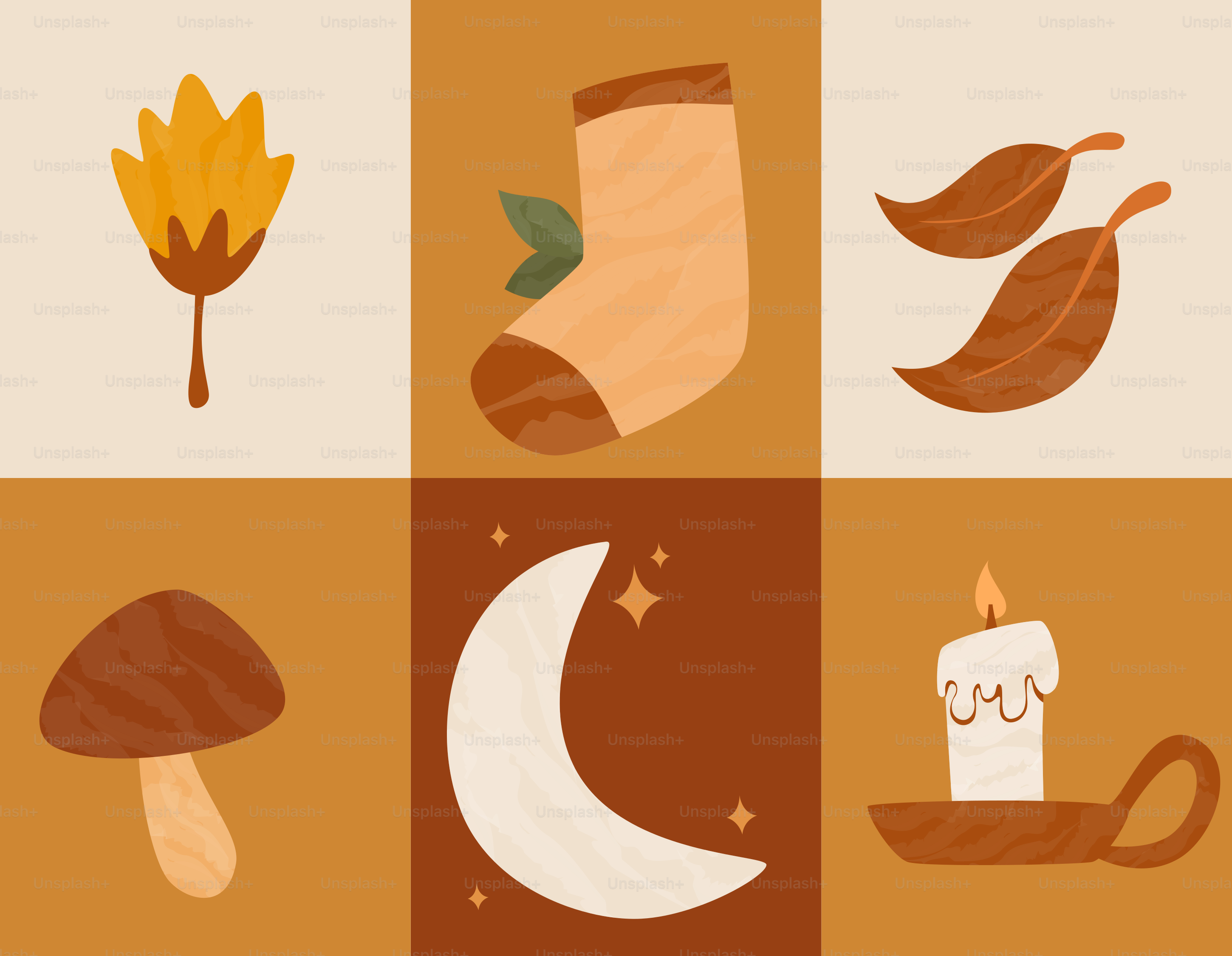 Elementi autunnali: foglia, calzina, foglie, funghi, luna, candela.