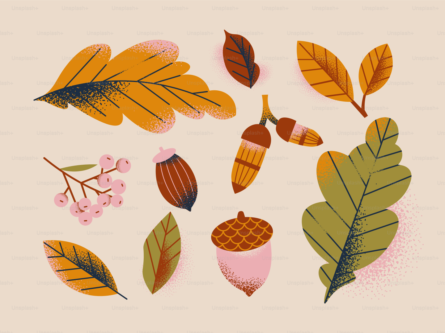 Hojas otoñales, bellotas y bayas sobre un fondo claro