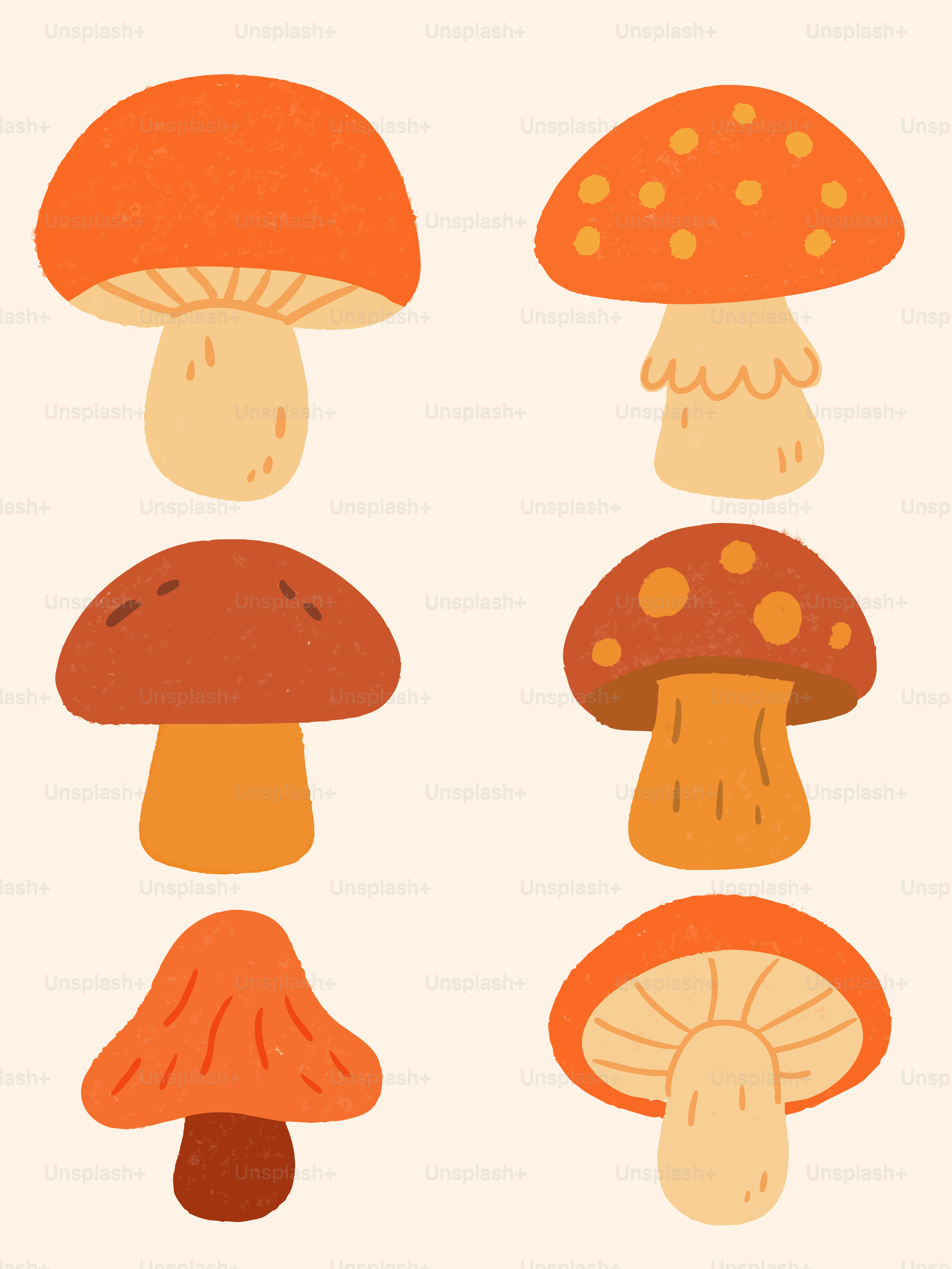 Six stylized orange and beige mushrooms on a cream background.