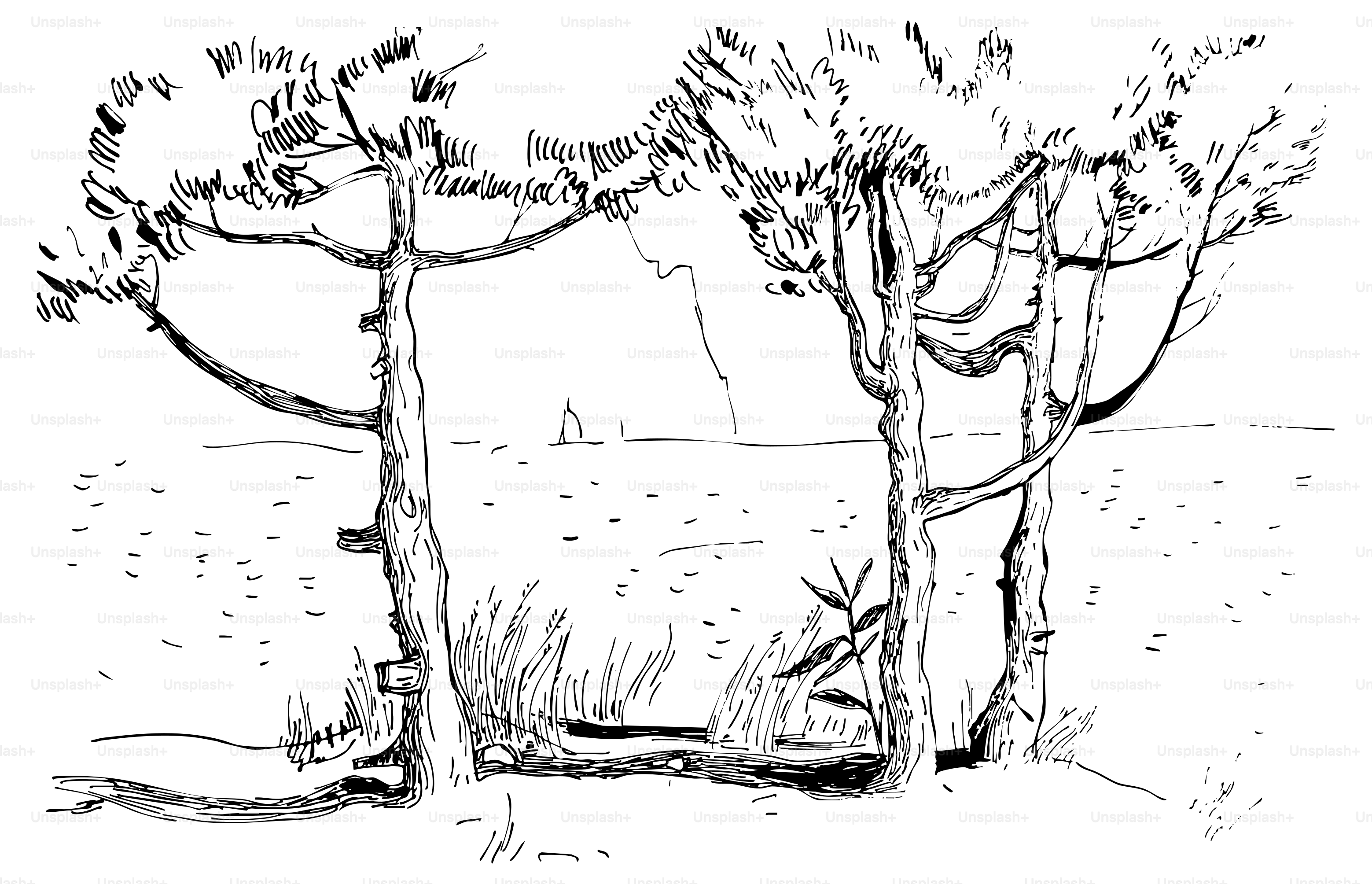 Sketch of pine trees overlooking a body of water.