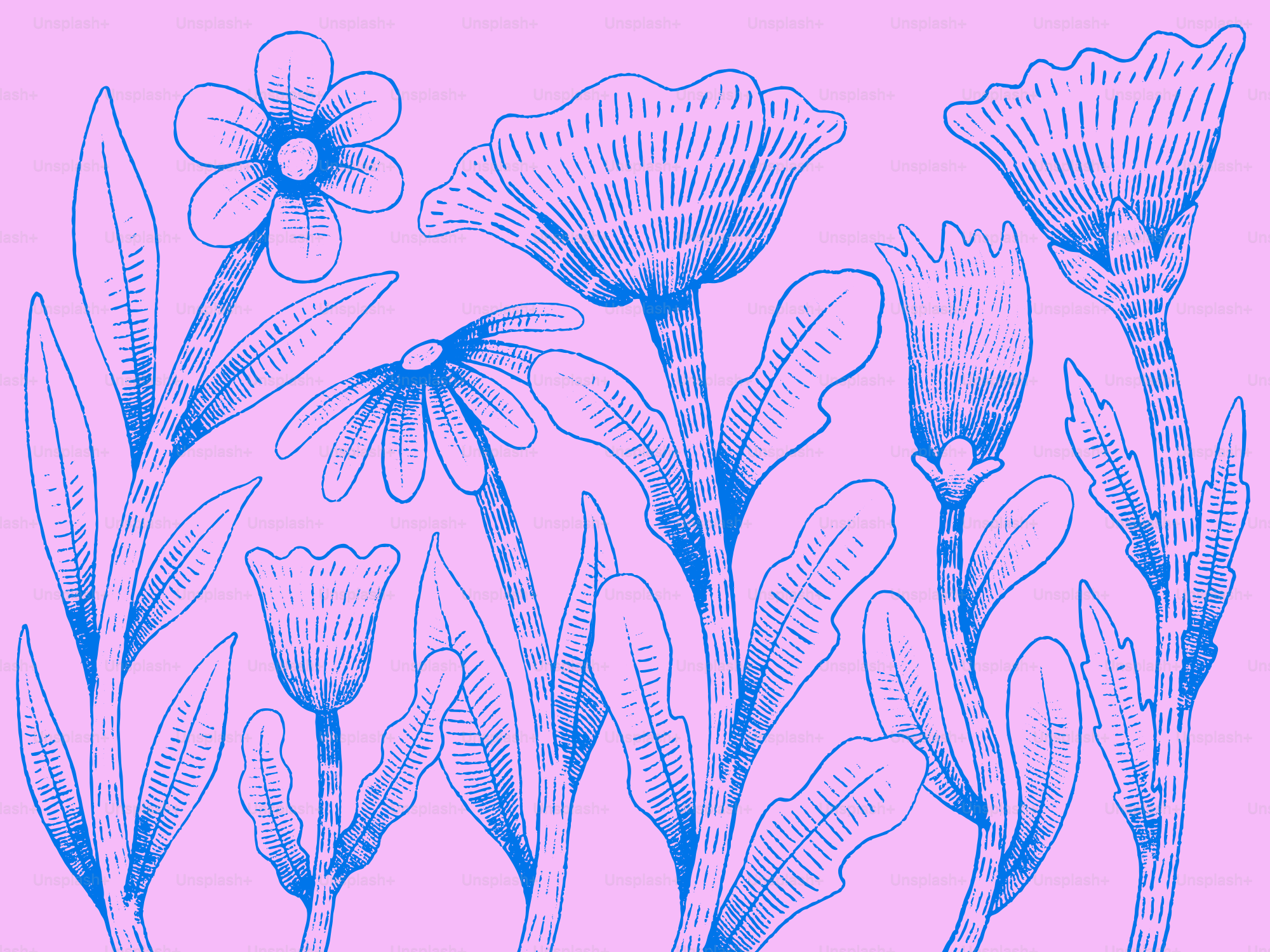 Fleurs bleues stylisées sur fond rose