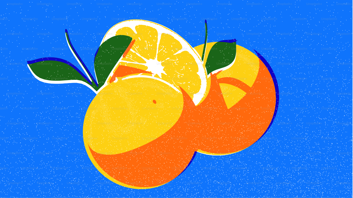 Drei Orangen und eine Scheibe Orange
