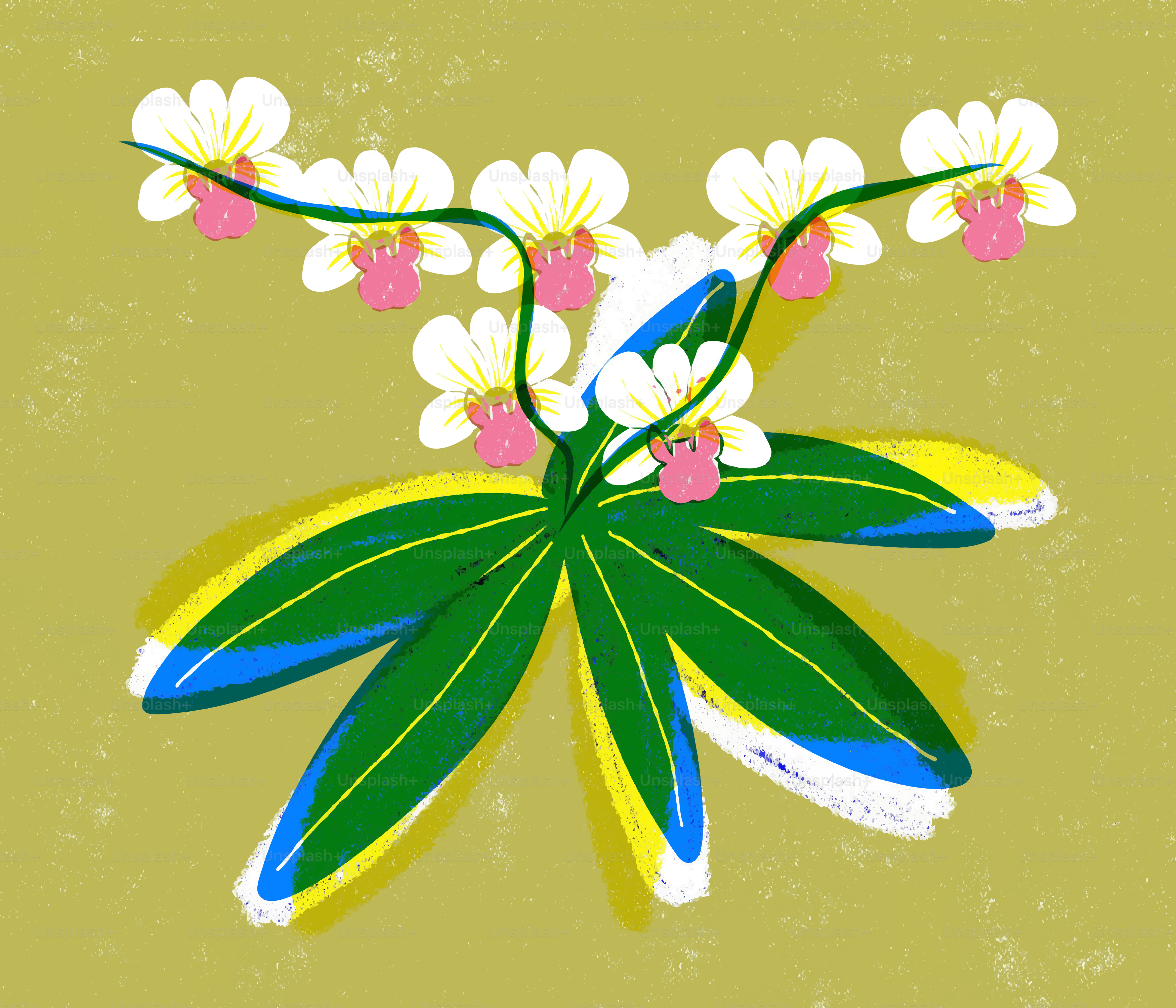 Las orquídeas blancas con centros rosados florecen en una planta.